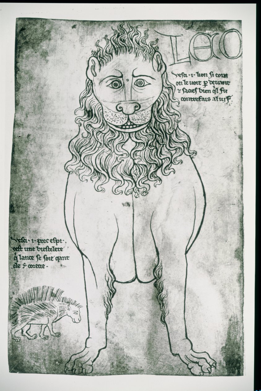 Leeuw en stekelvarken (facsimile) door Villard de Honnecourt