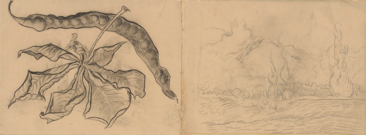 Kastanjeblad met peul Landschap met cipressen door Vincent van Gogh