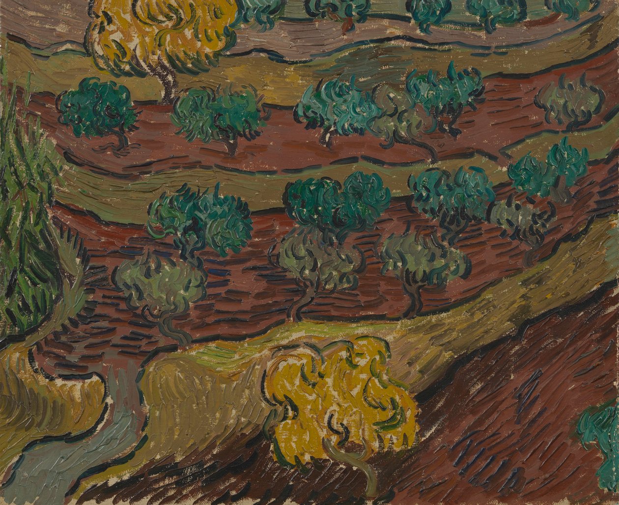 Olijfbomen op een heuvel door Vincent van Gogh