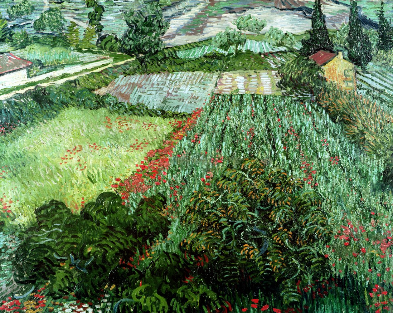 Veld met klaprozen, 1889 door Vincent van Gogh
