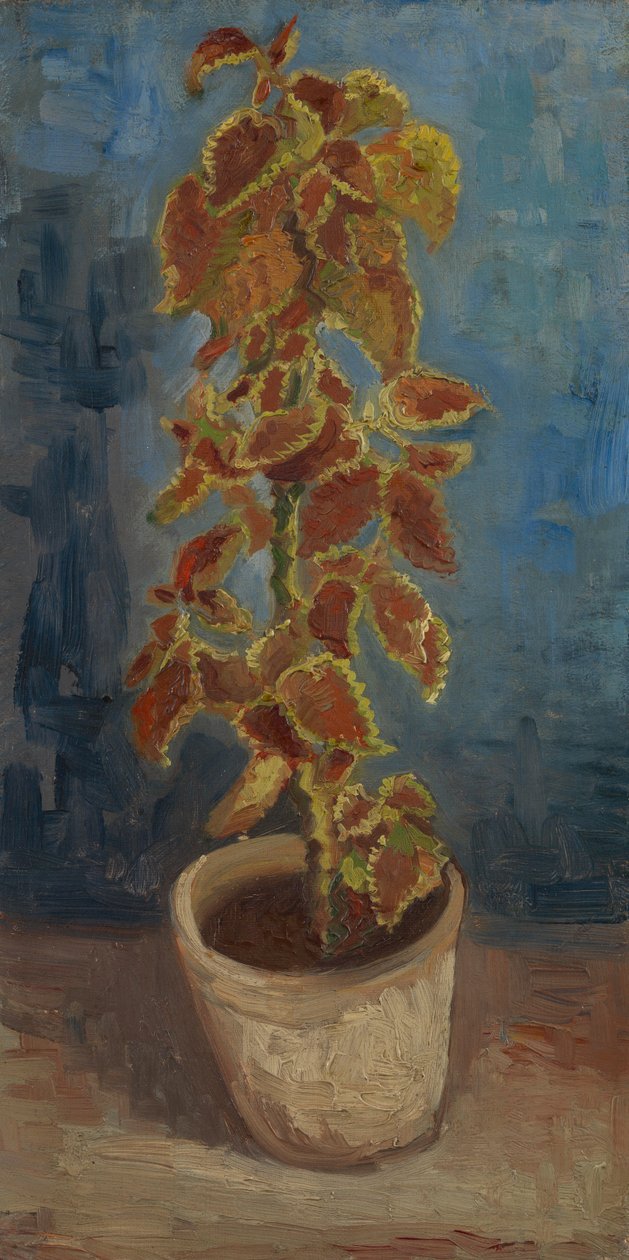 Vlamnetel in een bloempot door Vincent van Gogh