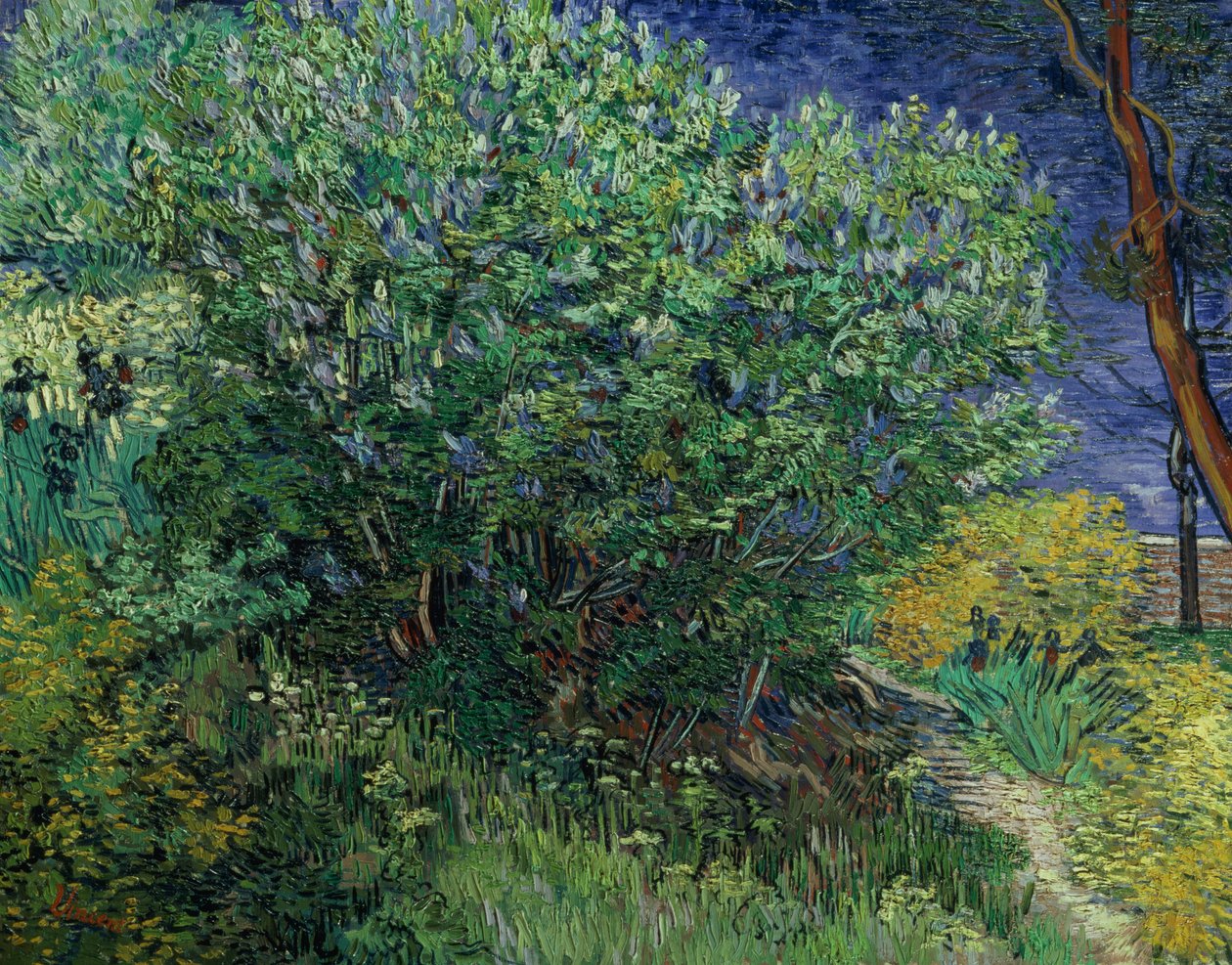 Seringstruik, 1889 door Vincent van Gogh