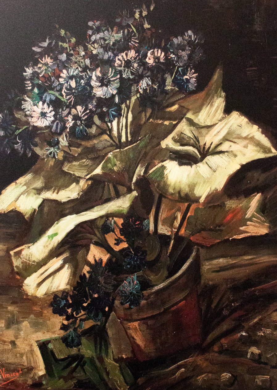 Mijn droom door Vincent van Gogh