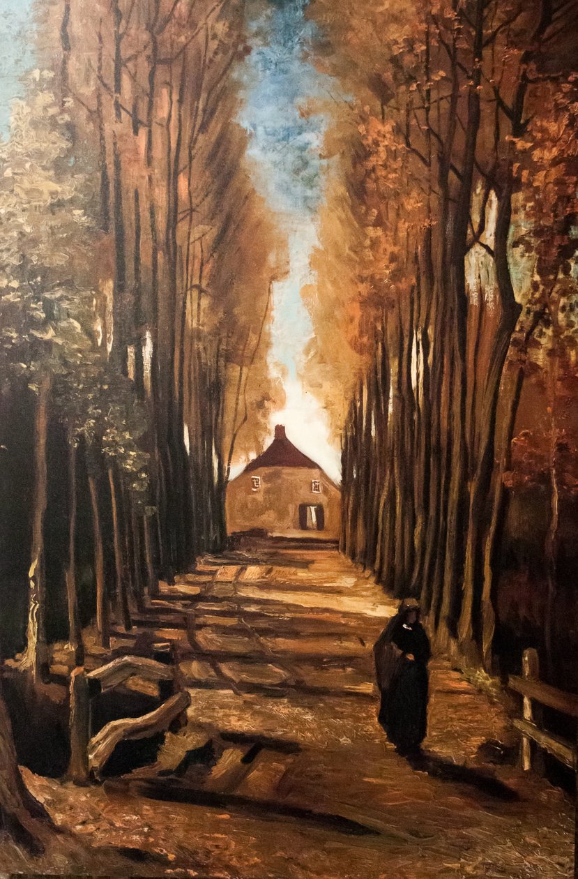 Mijn droom door Vincent van Gogh