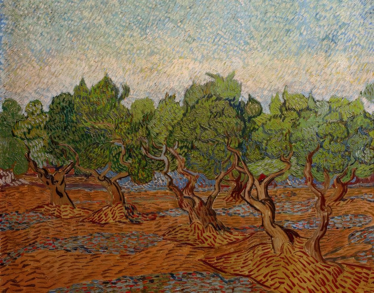 Olijfboomgaard door Vincent van Gogh