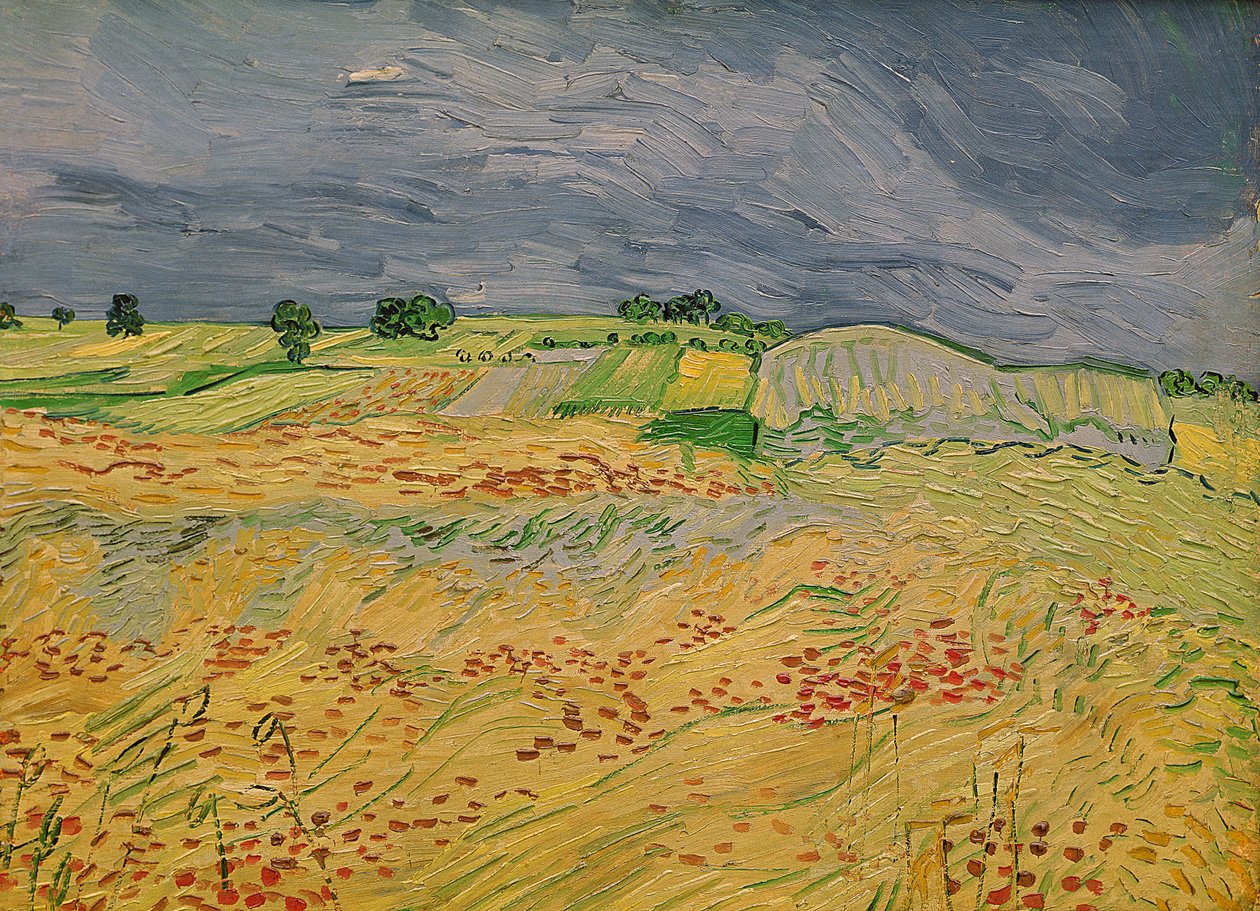 Vlak bij Auvers, 1890 door Vincent van Gogh