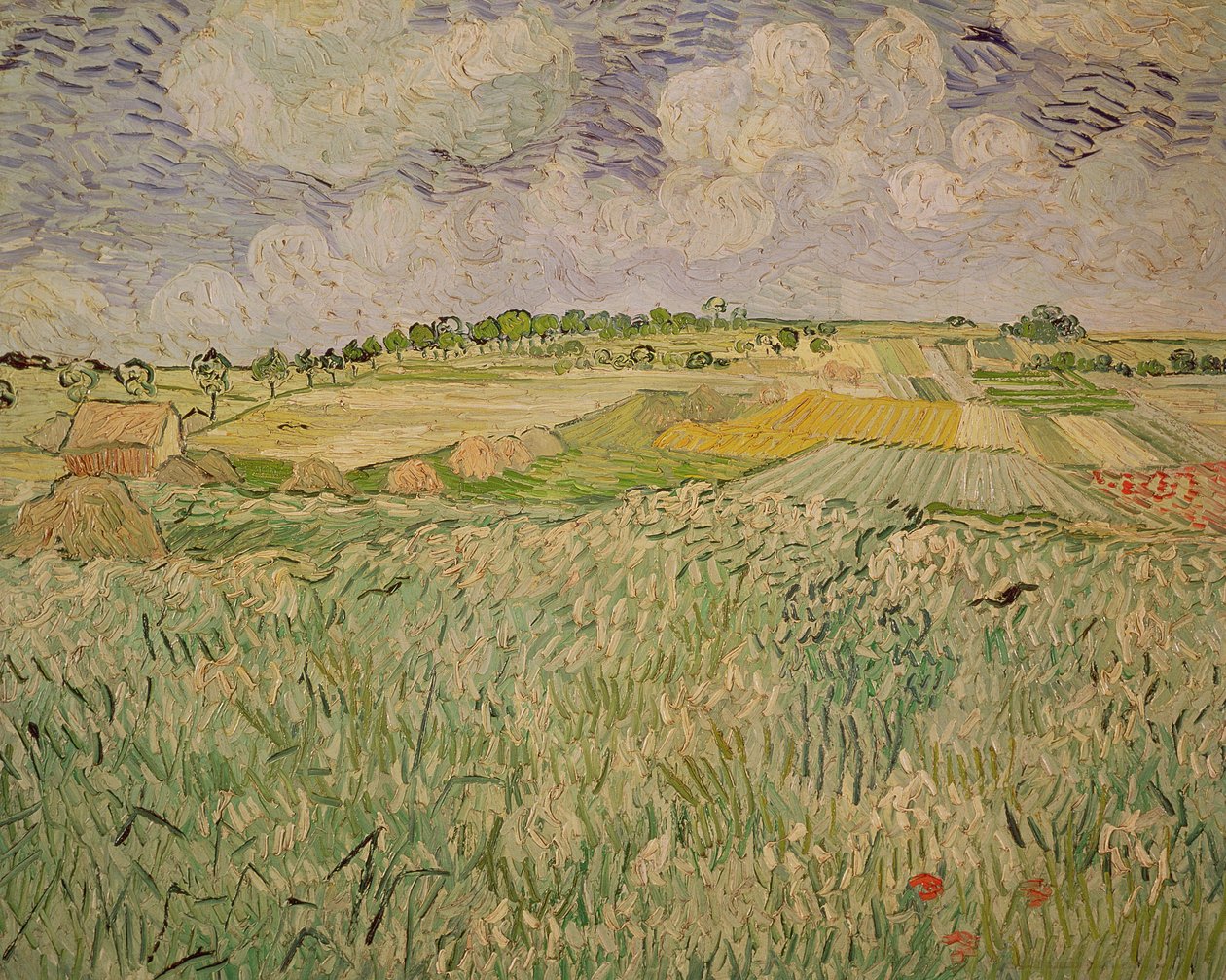 De Vlakte bij Auvers, 1890 door Vincent van Gogh