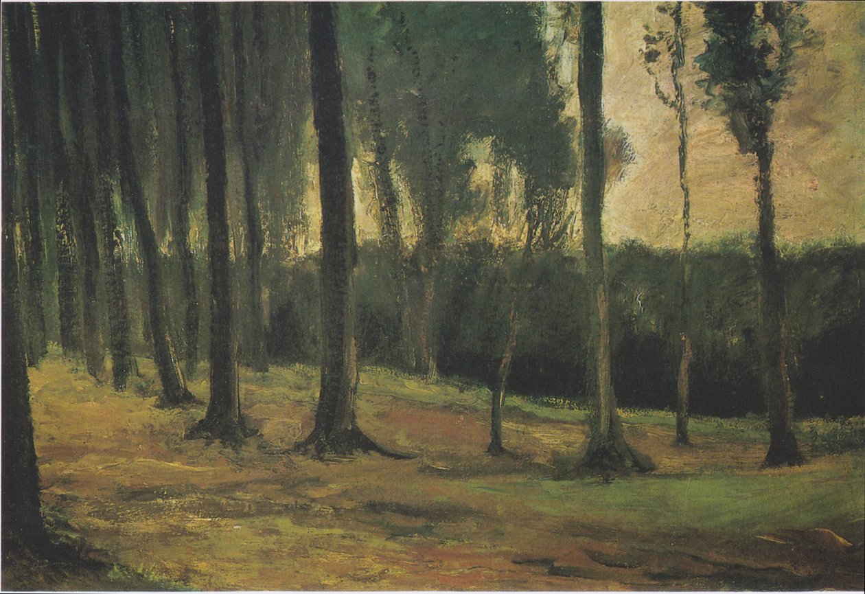 Bosrand door Vincent van Gogh
