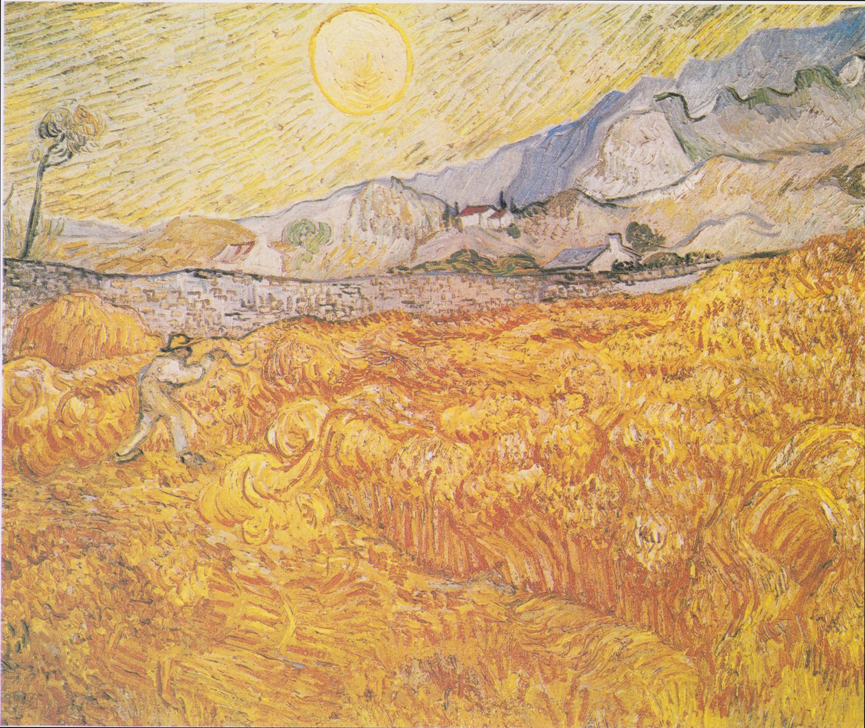 Korenveld achter het Saint-Paul ziekenhuis (De oogst) door Vincent van Gogh