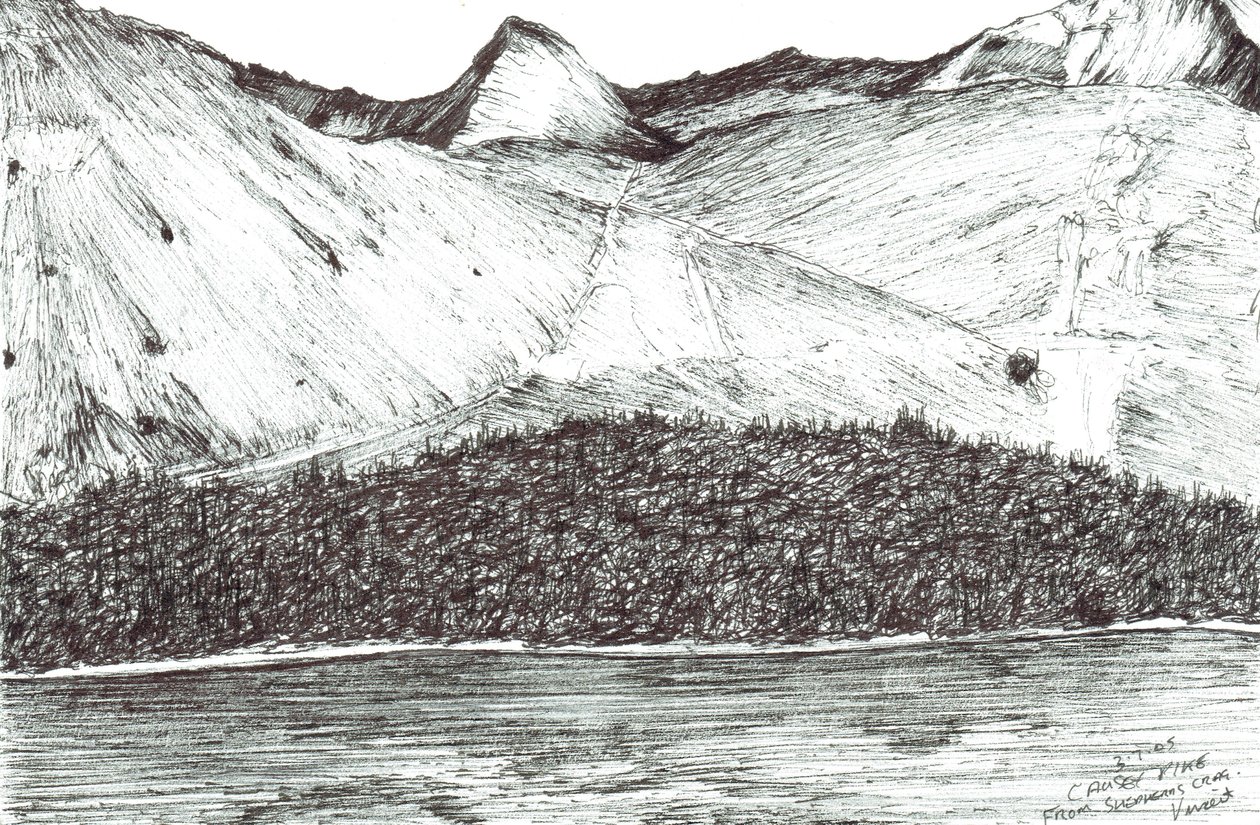 Causey Pike, 2005 door Vincent Alexander Booth