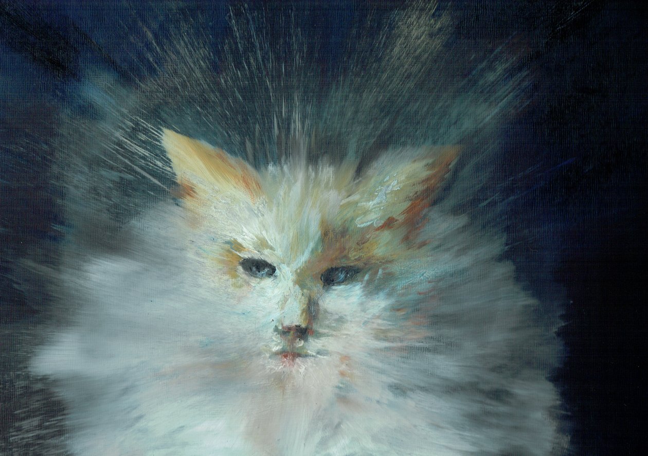 Monty fluffball, 2015 door Vincent Alexander Booth