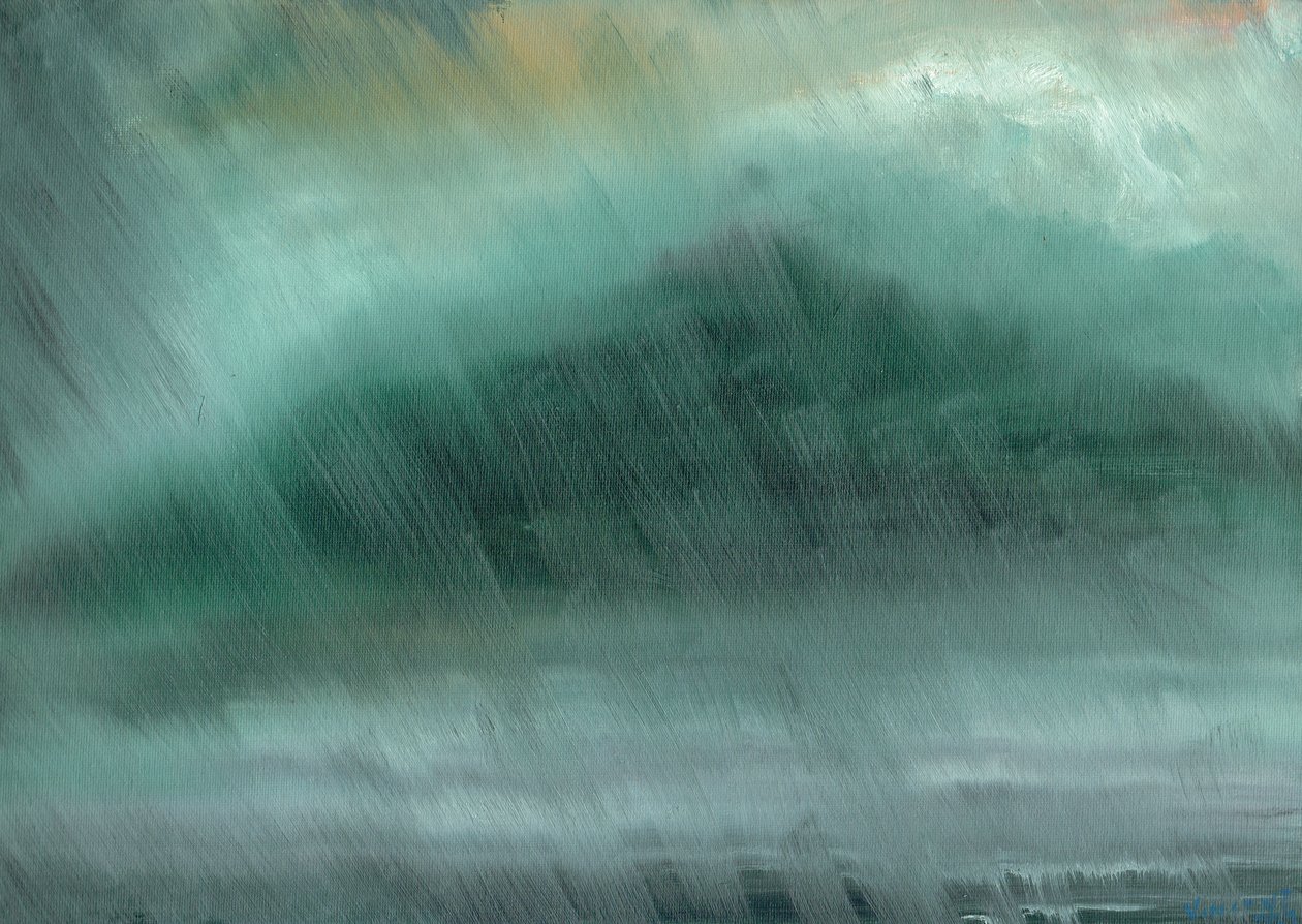Bergen regen, 2017 door Vincent Alexander Booth