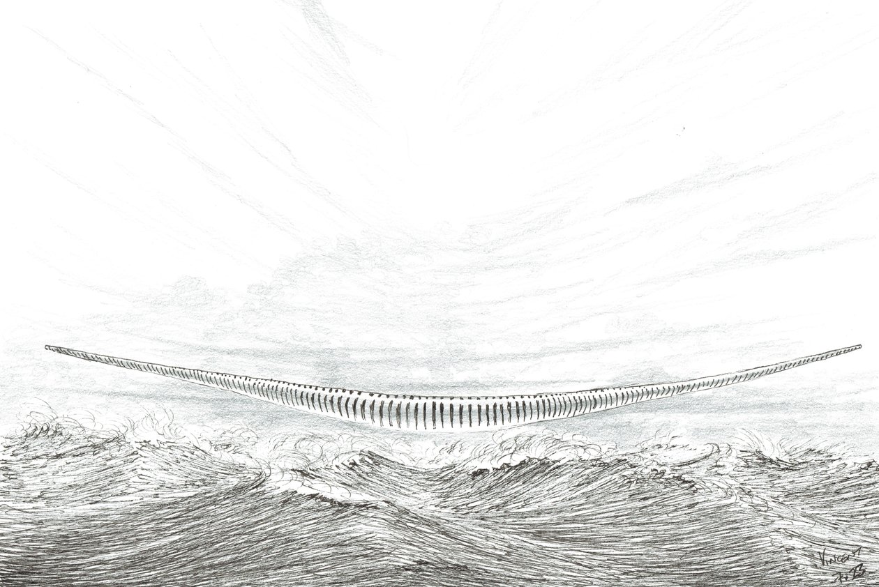 Stormscheppers Cape Leveque door Vincent Alexander Booth