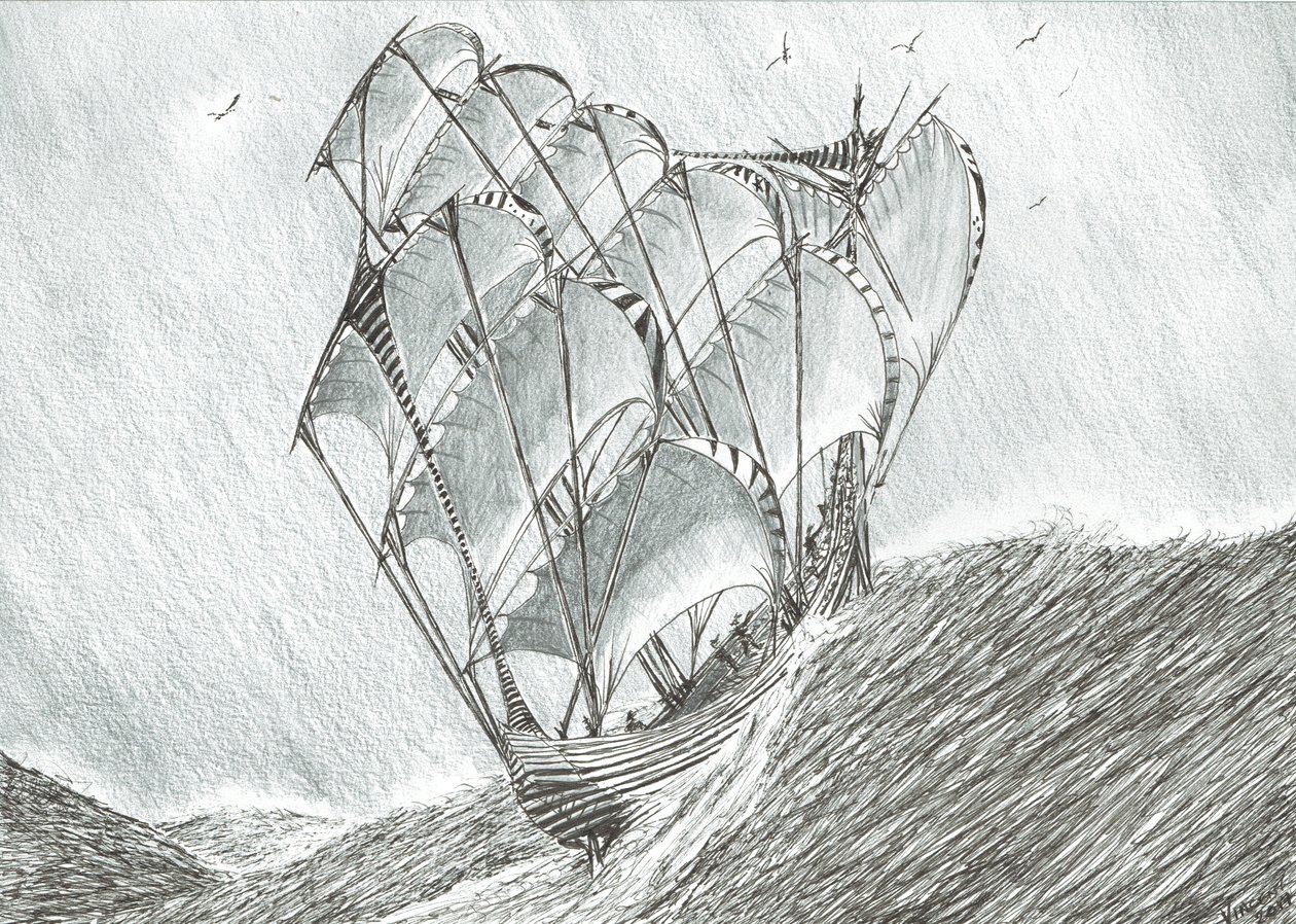 Storm Scheppers Koraalzee door Vincent Alexander Booth