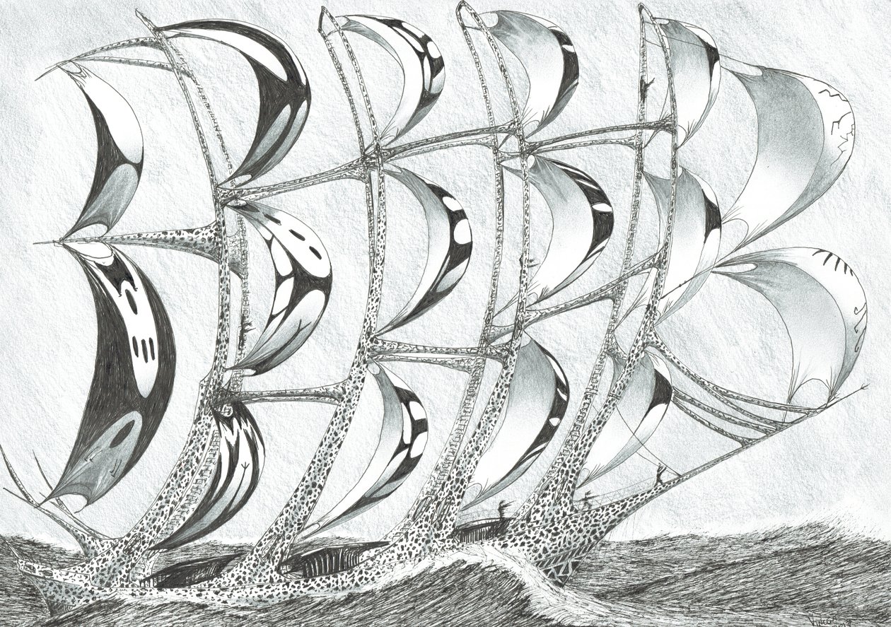 Stormscheppers Laccadive Zee, 2017 door Vincent Alexander Booth