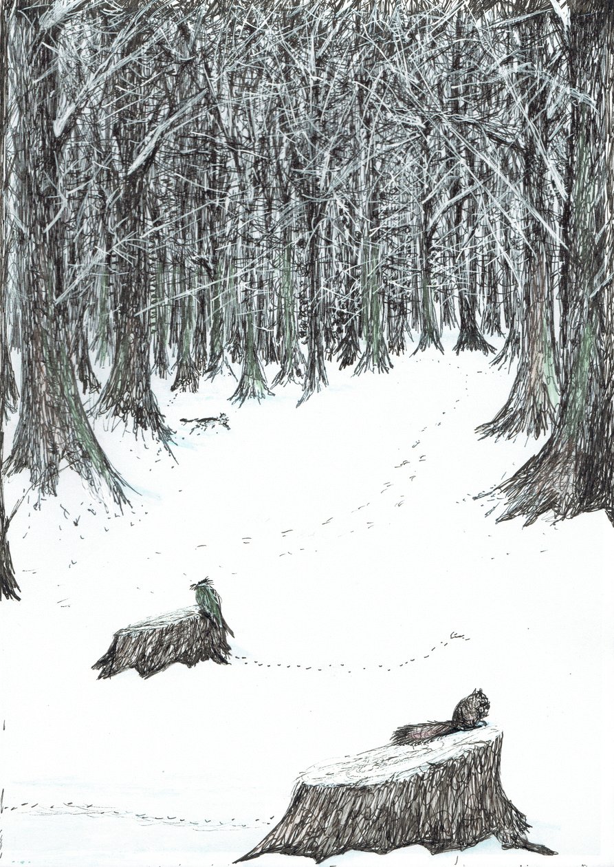 pagina5, Het Kasteel in het Bos van Findhorn, 2006 door Vincent Alexander Booth