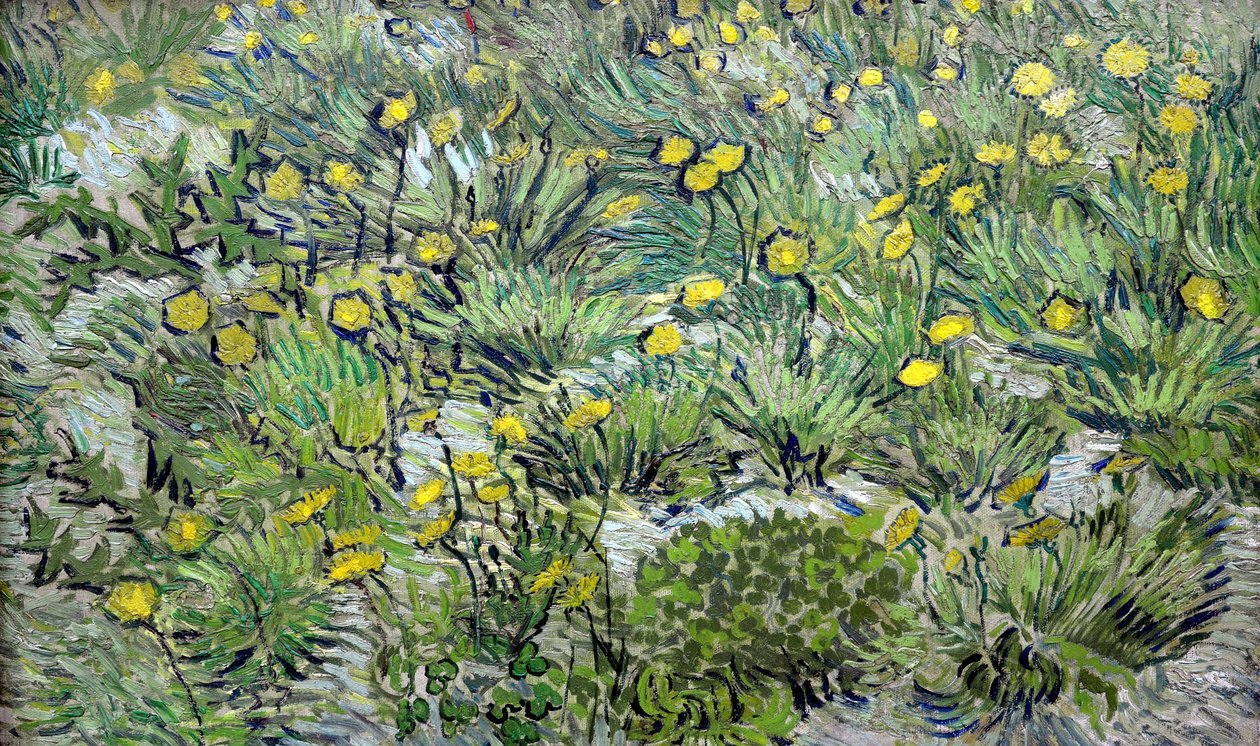 Les pissenlits, 1889 door Vincent van Gogh