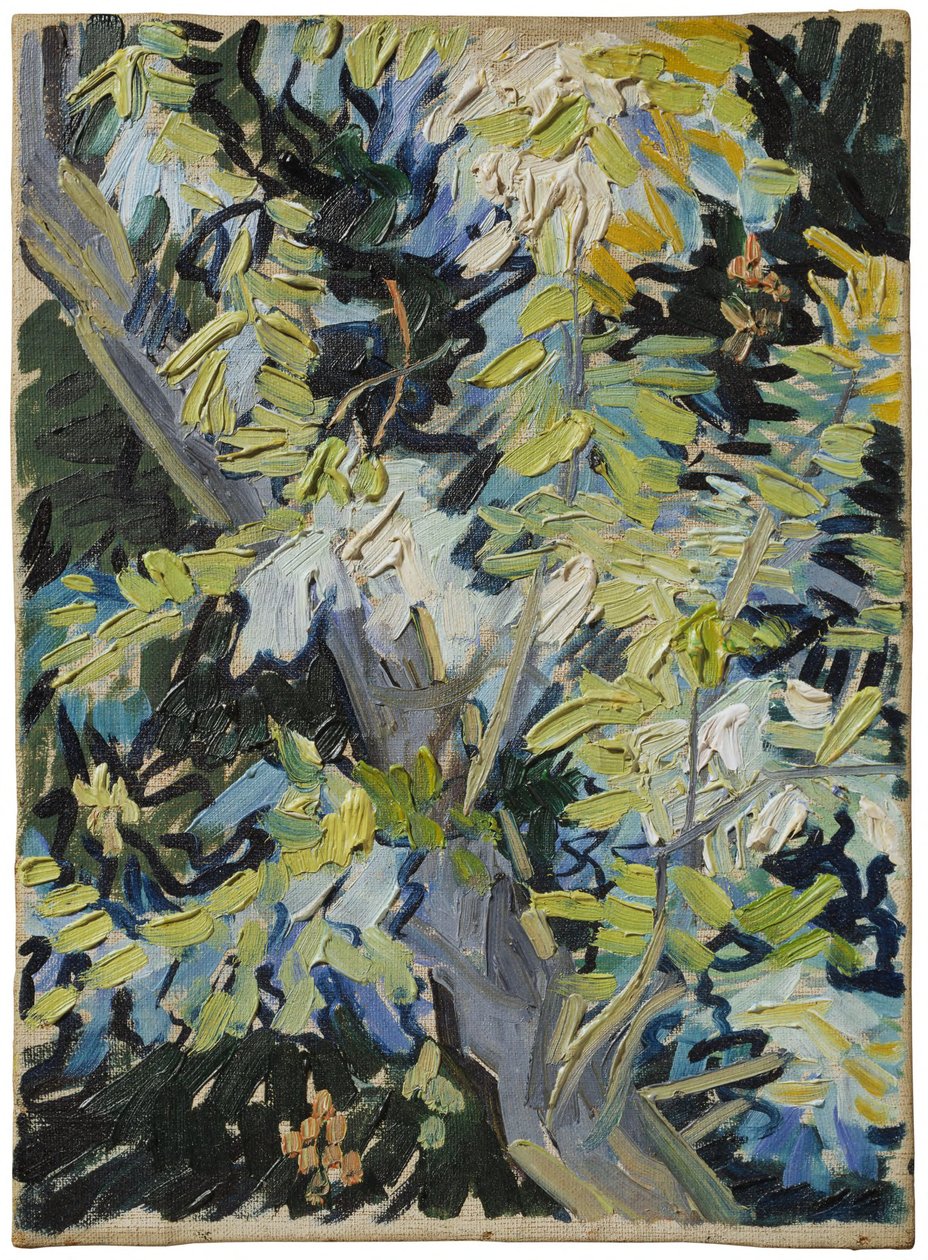 Bloeiende acacia door Vincent van Gogh