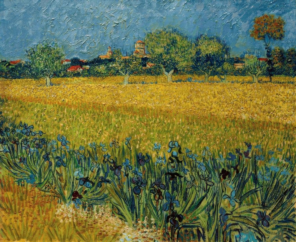 Uitzicht op Arles met irisbloemen op de voorgrond door Vincent van Gogh