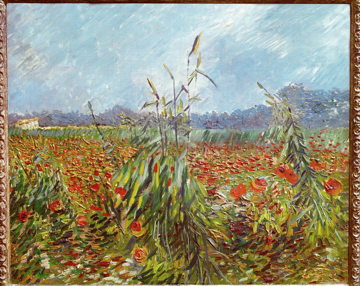 Korenvelden en klaprozen (olieverf op doek) door Vincent van Gogh
