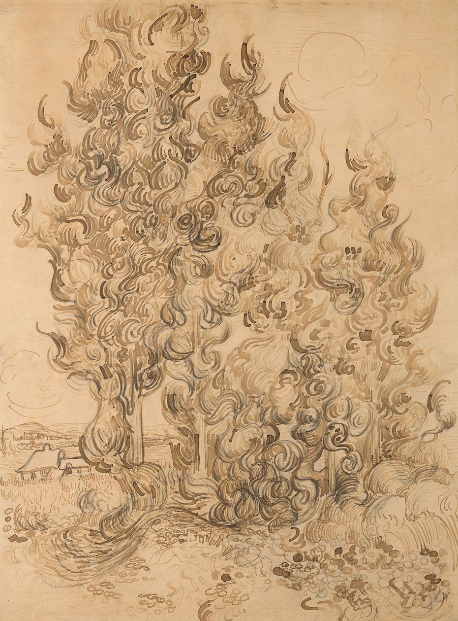 Cipressen door Vincent van Gogh