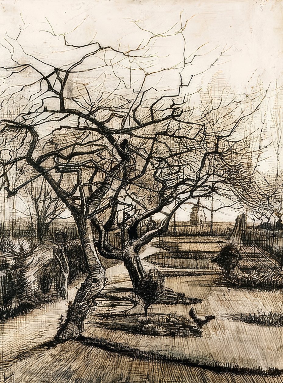 De tuin van de pastorie in Nuenen door Vincent van Gogh