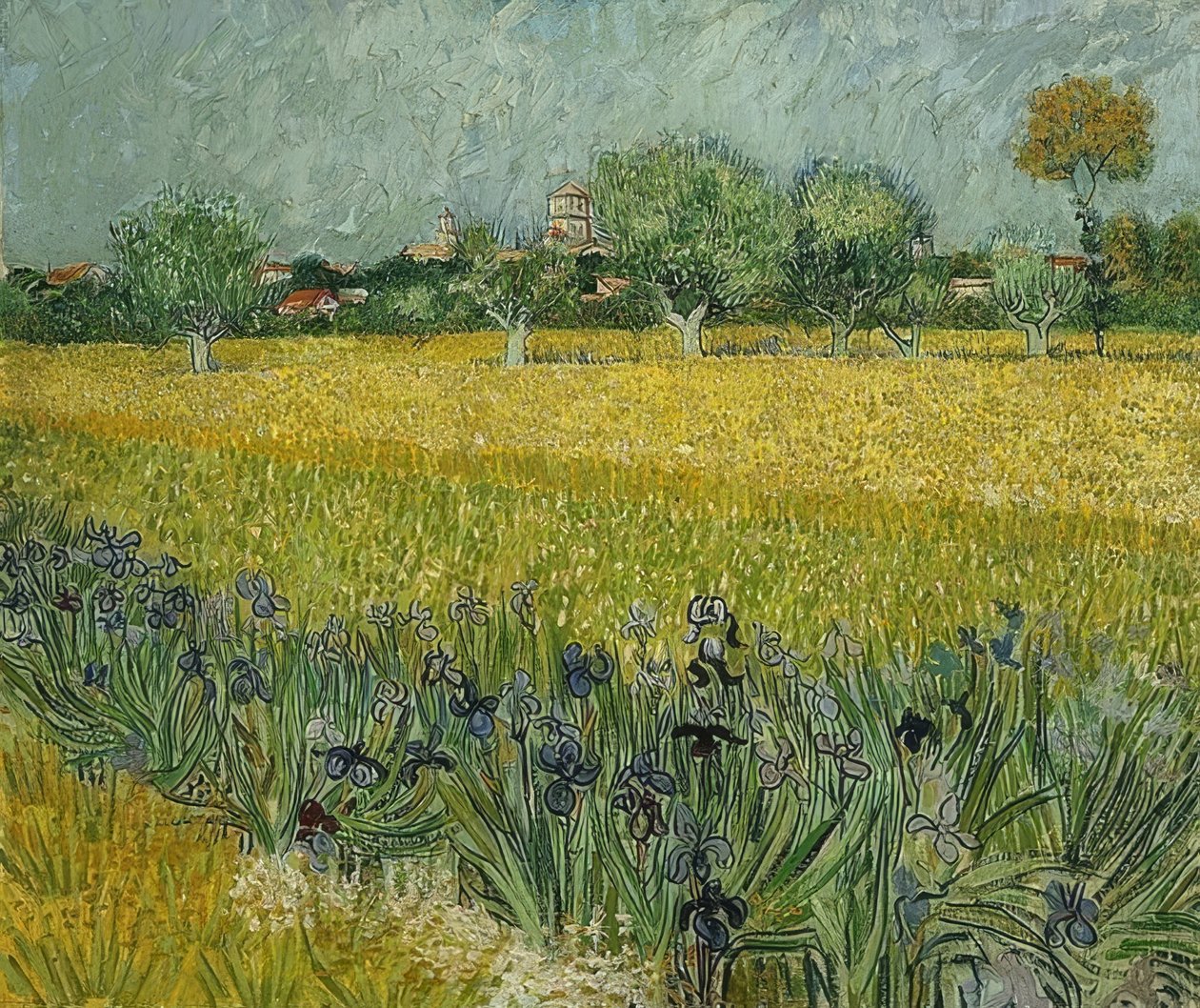 Veld met irissen nabij Arles. Mei 1888 door Vincent van Gogh