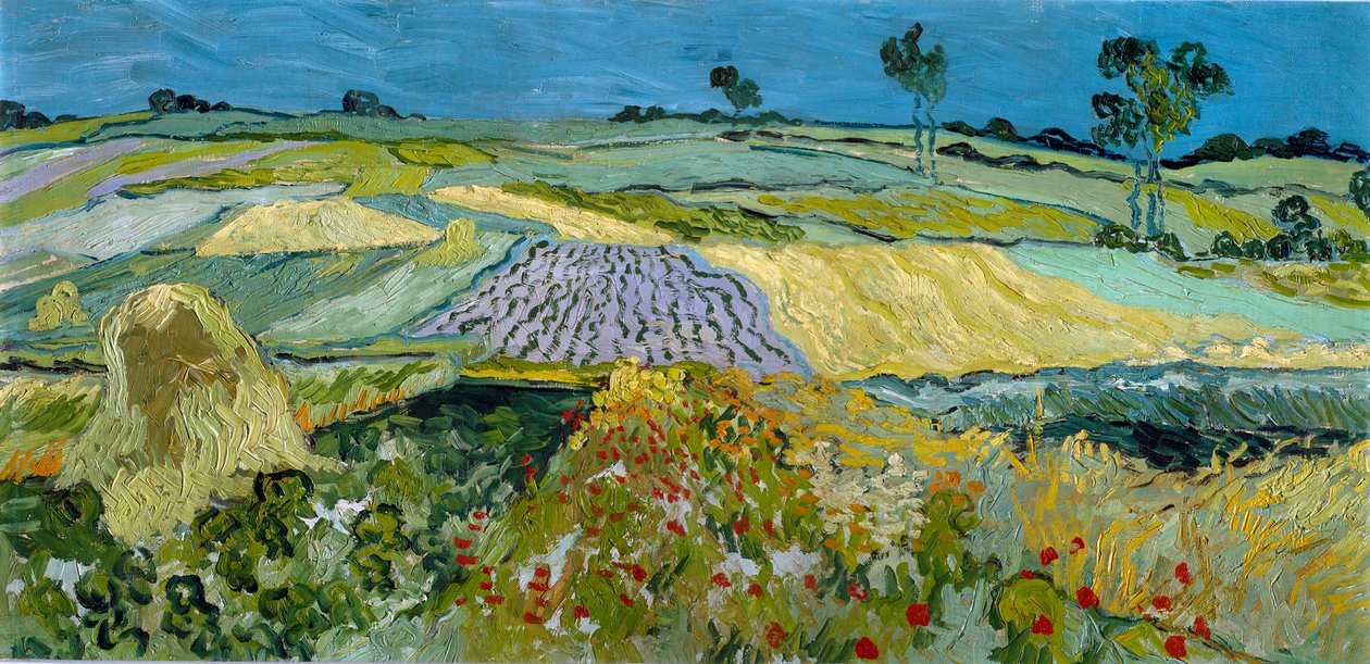  door Vincent van Gogh