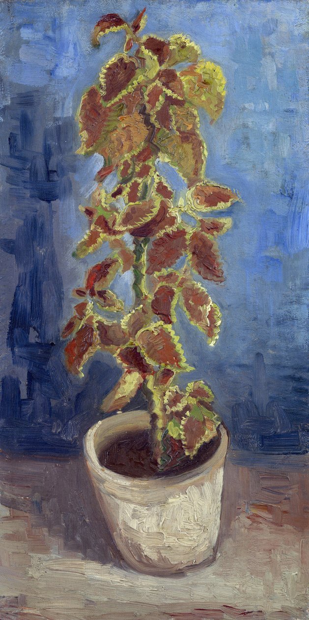 Vlamnetel in een bloempot door Vincent van Gogh