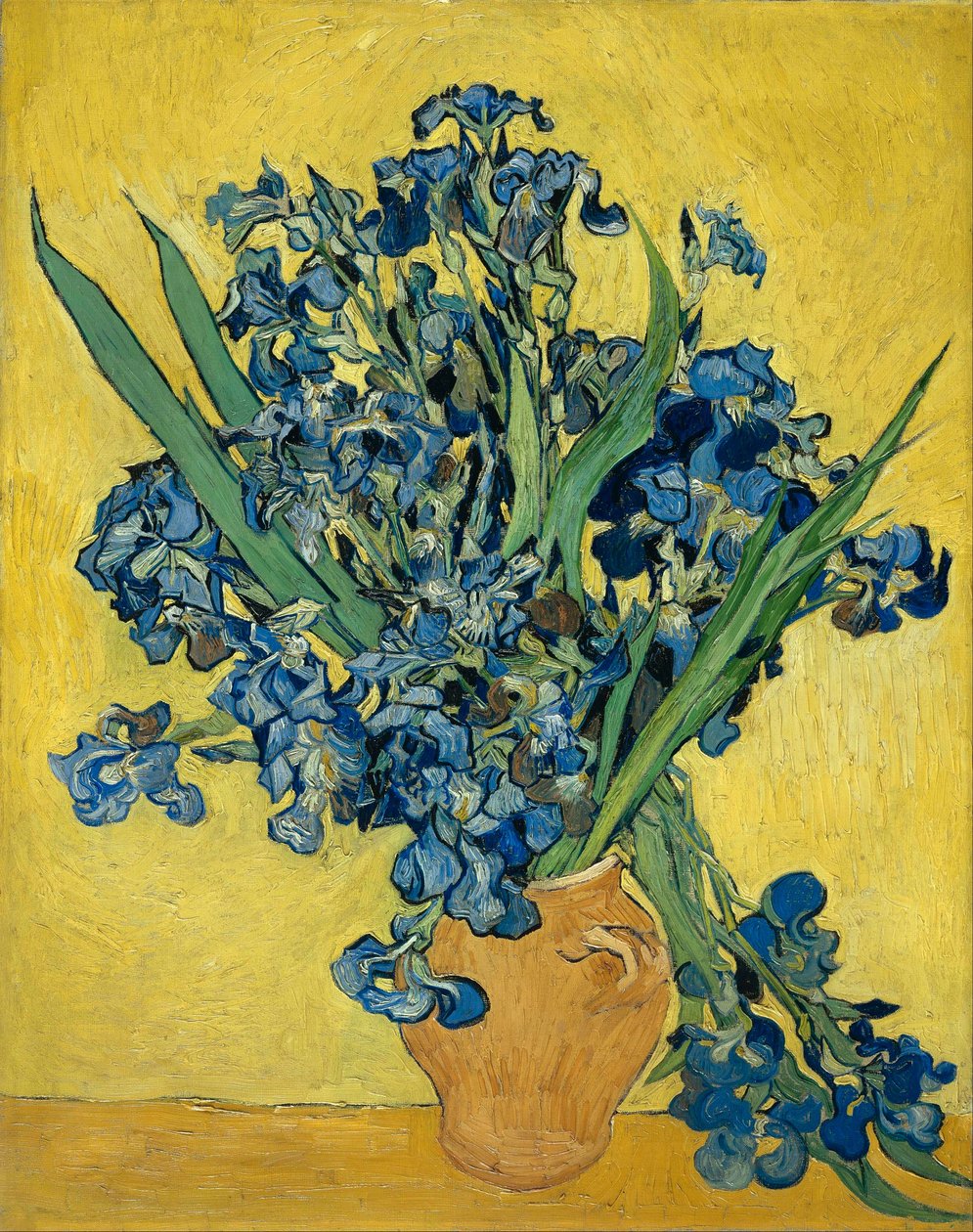 Irissen door Vincent van Gogh