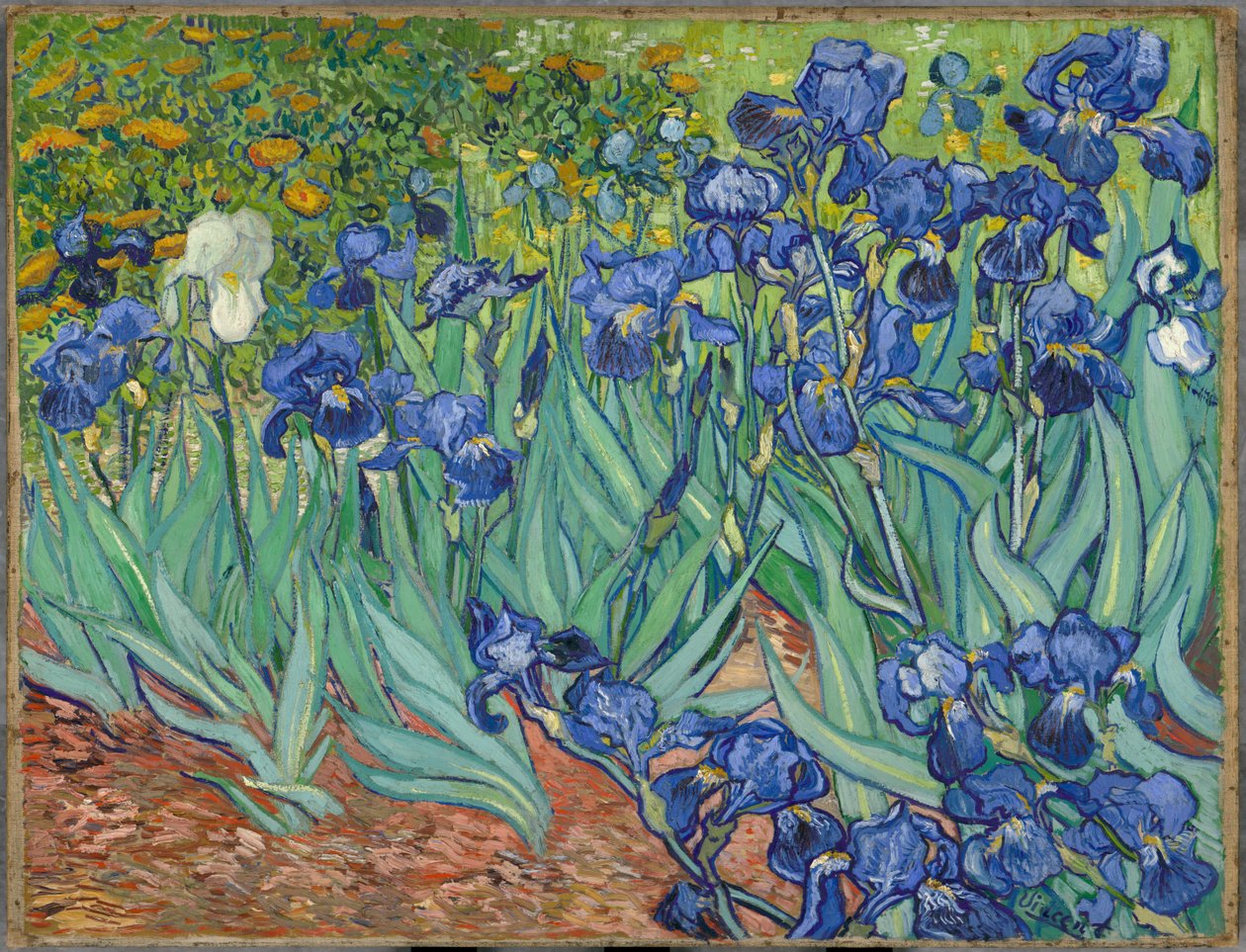Iris door Vincent van Gogh