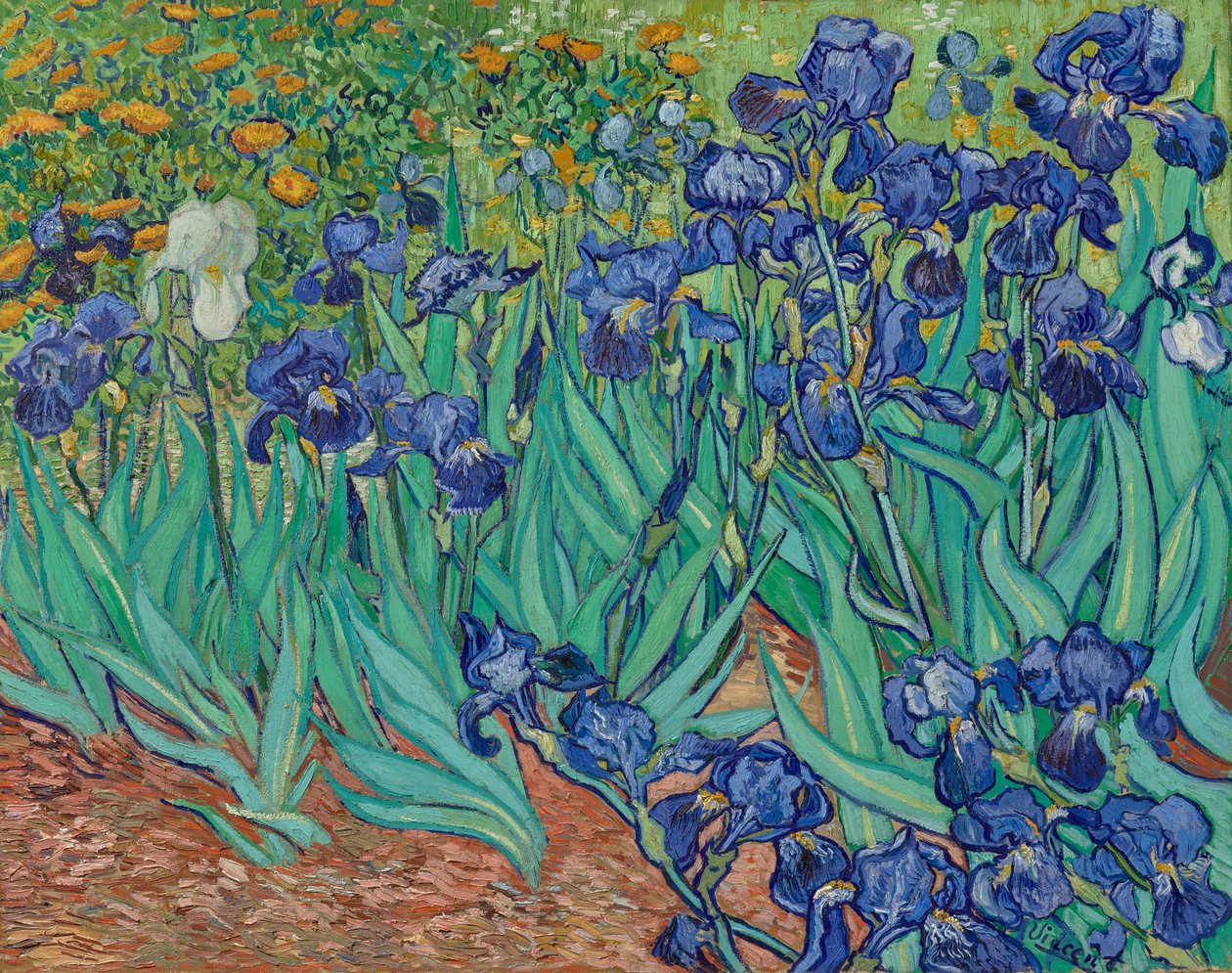 Irissen door Vincent van Gogh