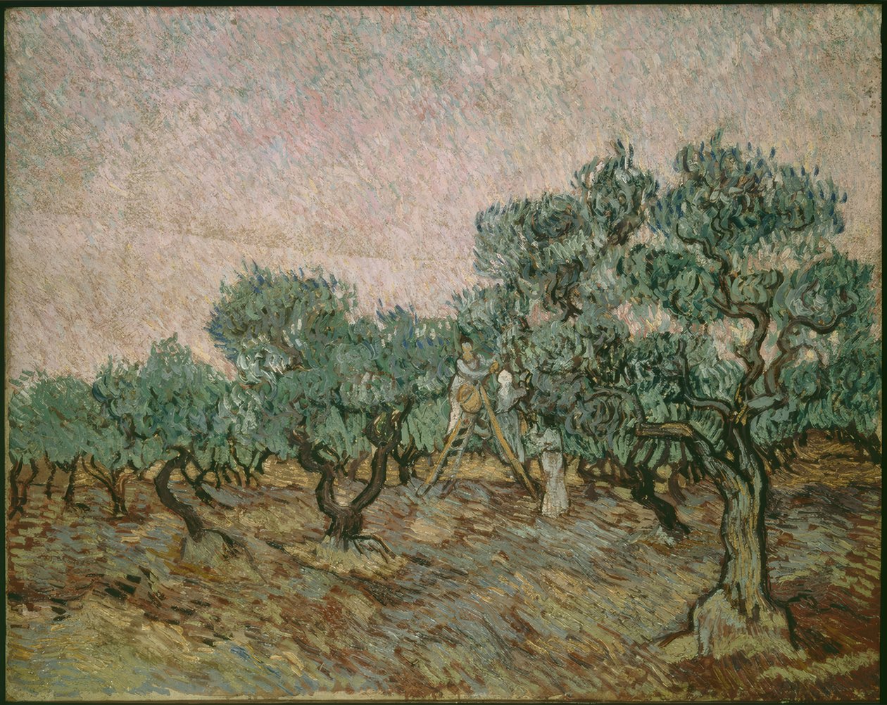 Olijfplukker door Vincent van Gogh