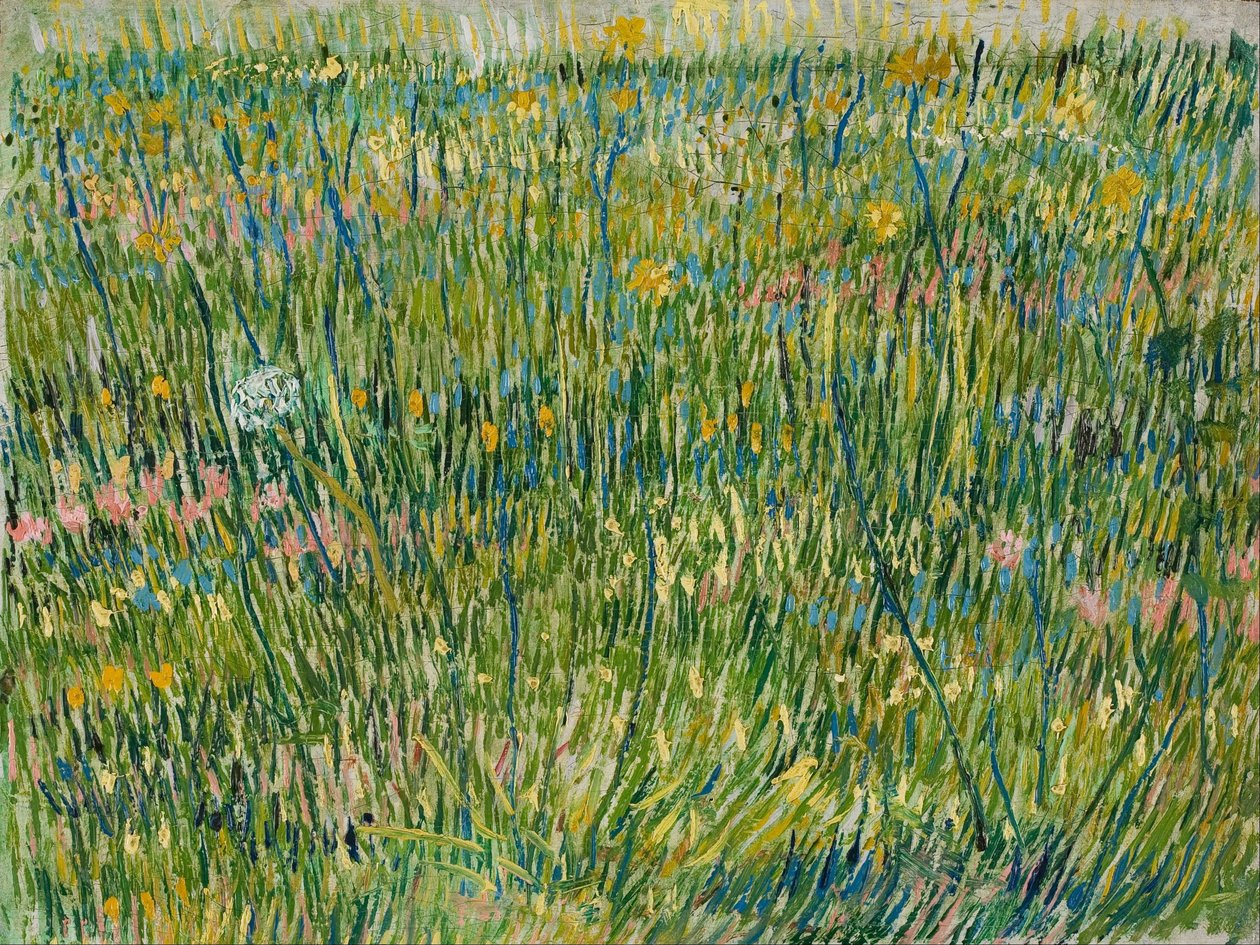Grasplek door Vincent van Gogh