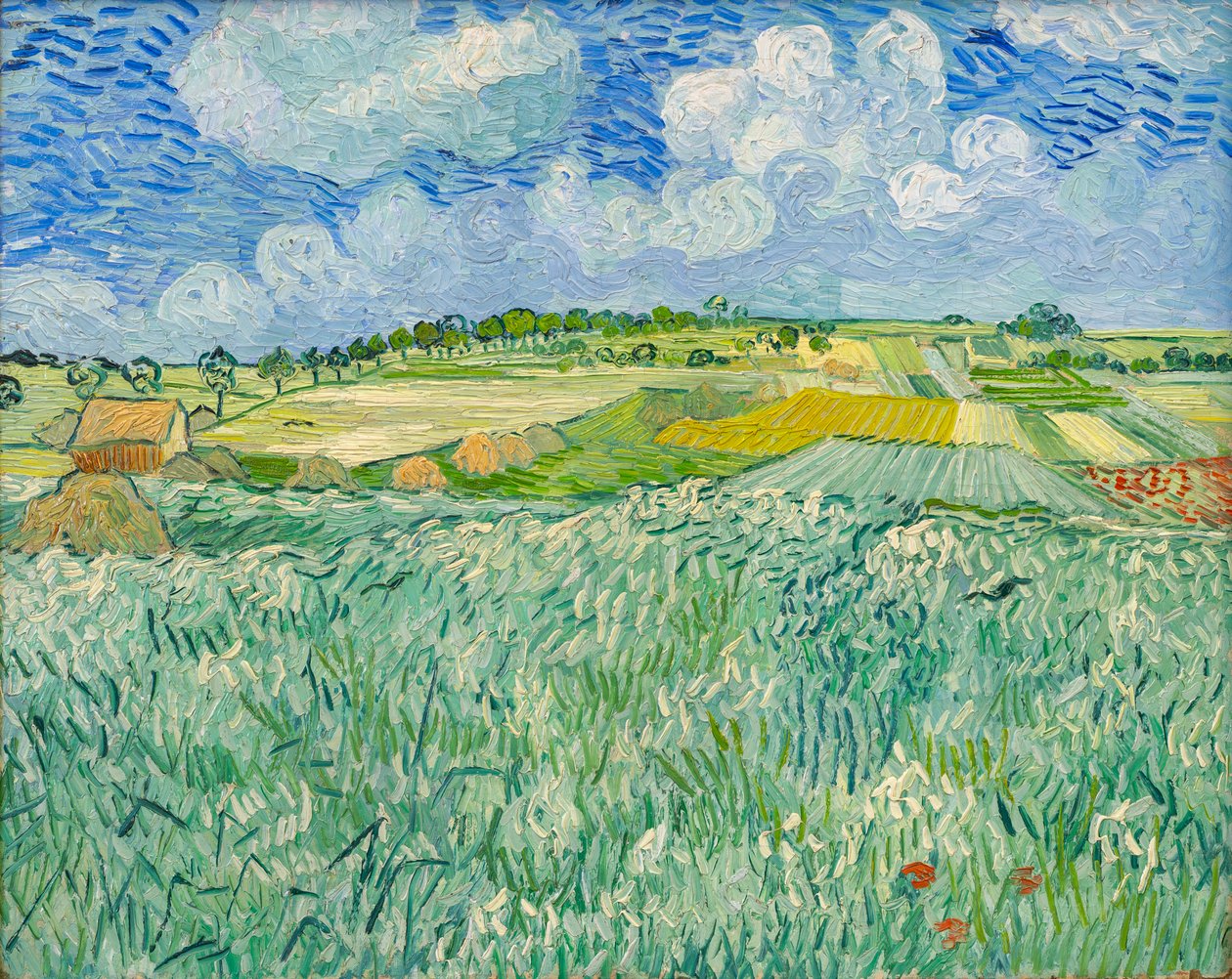 Vlakte bij Auvers door Vincent van Gogh