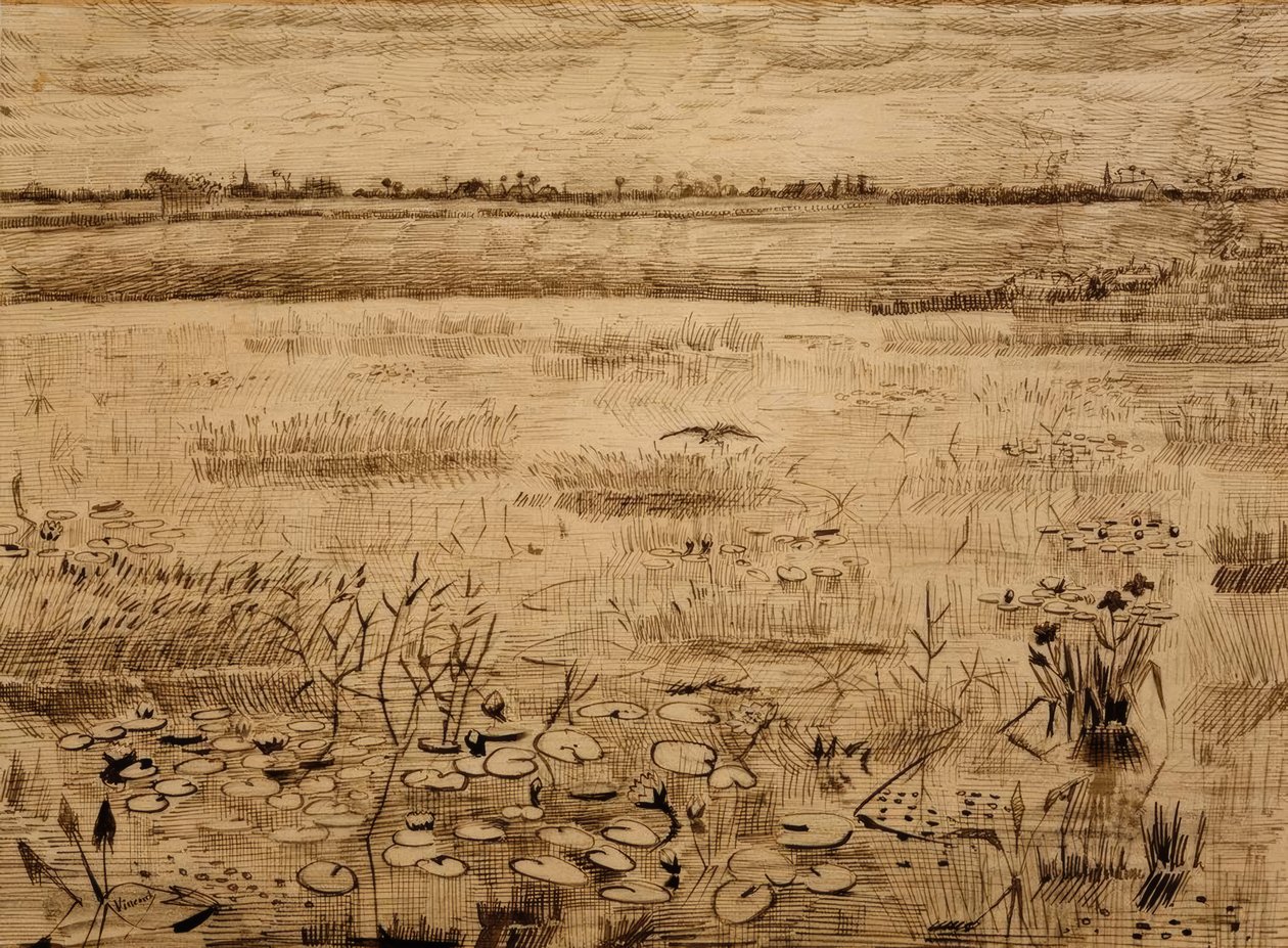 Moeraslandschap met waterlelies door Vincent van Gogh