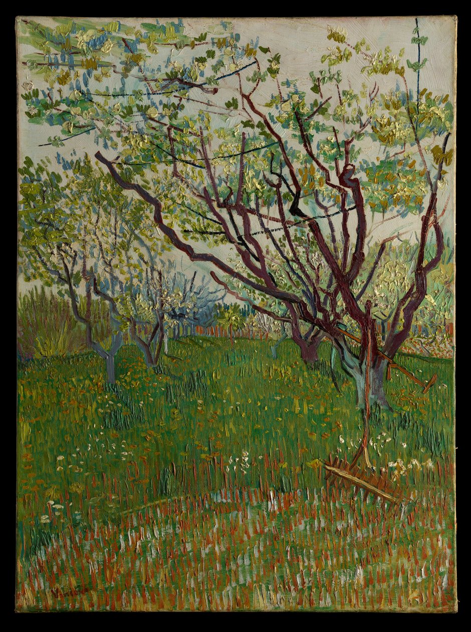 De bloeiende boomgaard door Vincent van Gogh