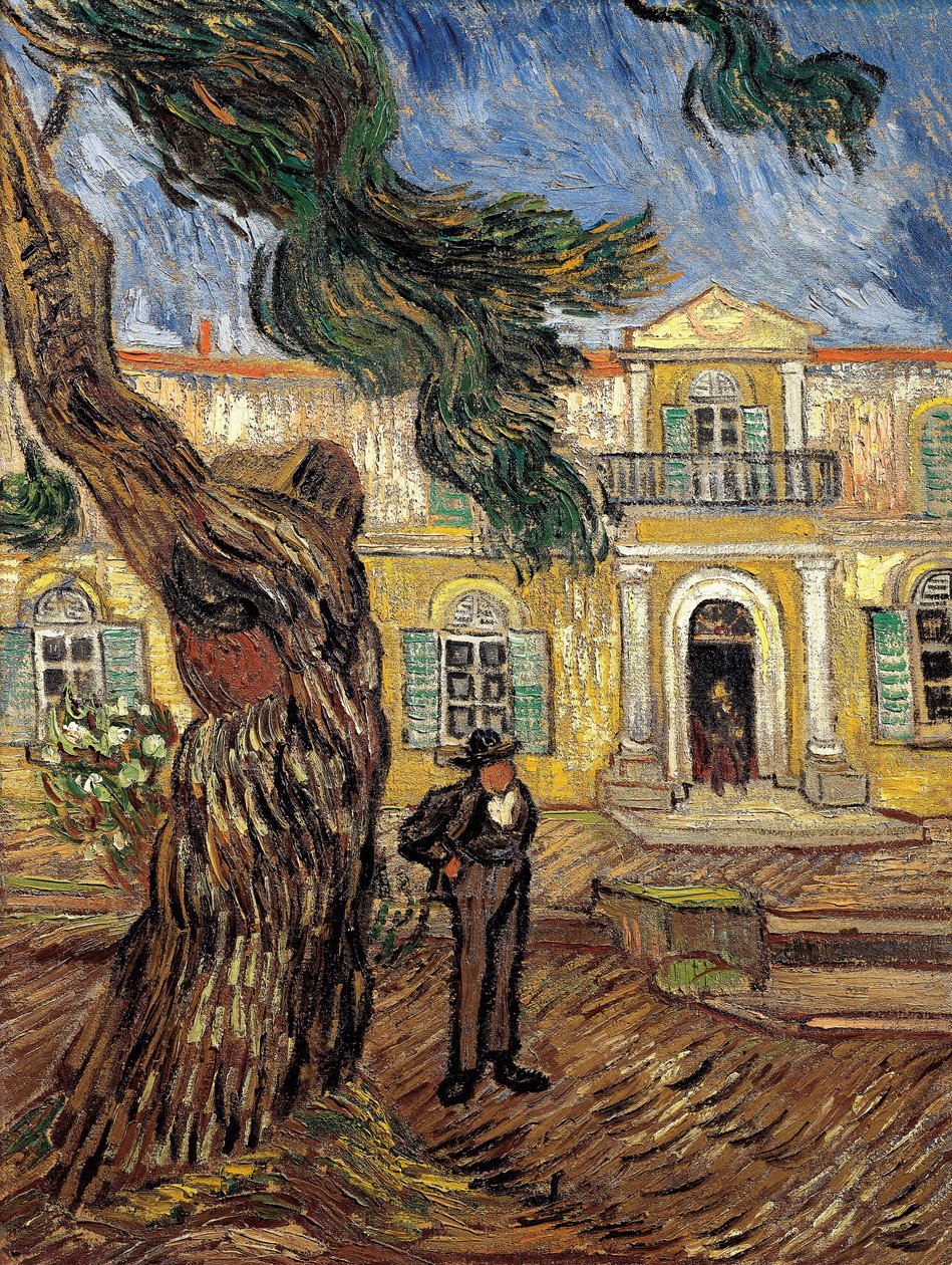 Het ziekenhuis van Saint Paul in Saint Remy de Provence door Vincent van Gogh