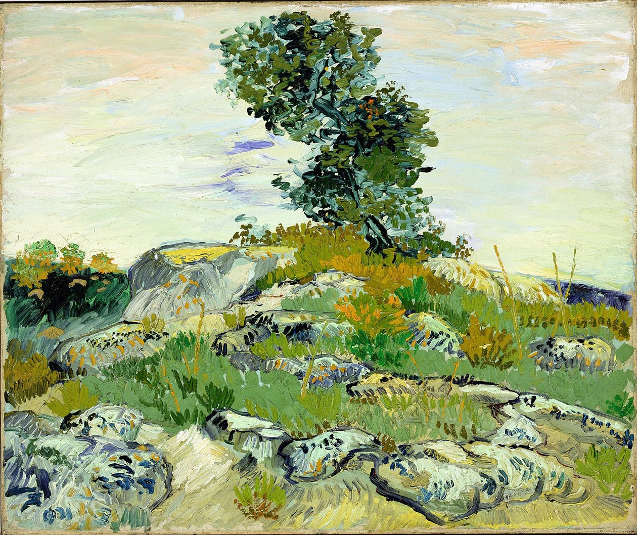 De rotsen door Vincent van Gogh