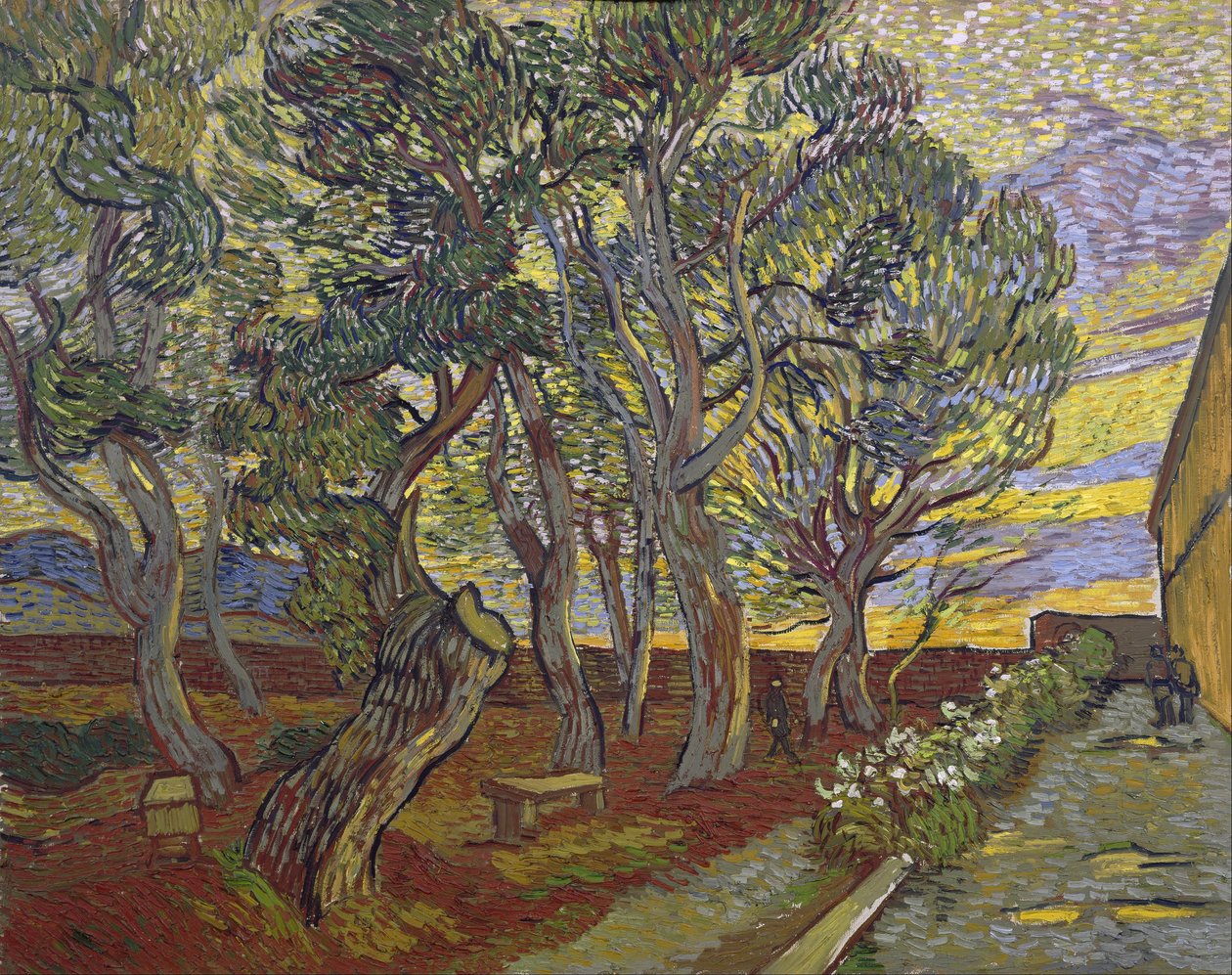 De tuin van het ziekenhuis Saint-Paul door Vincent van Gogh