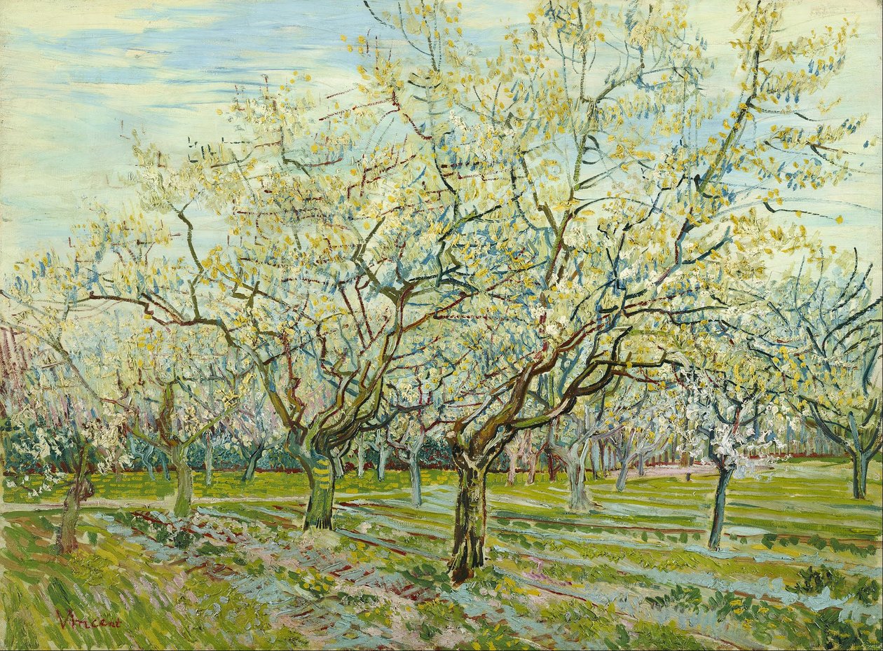 De witte boomgaard door Vincent van Gogh