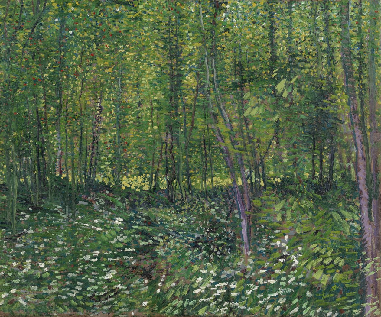 Bomen en ondergroei door Vincent van Gogh