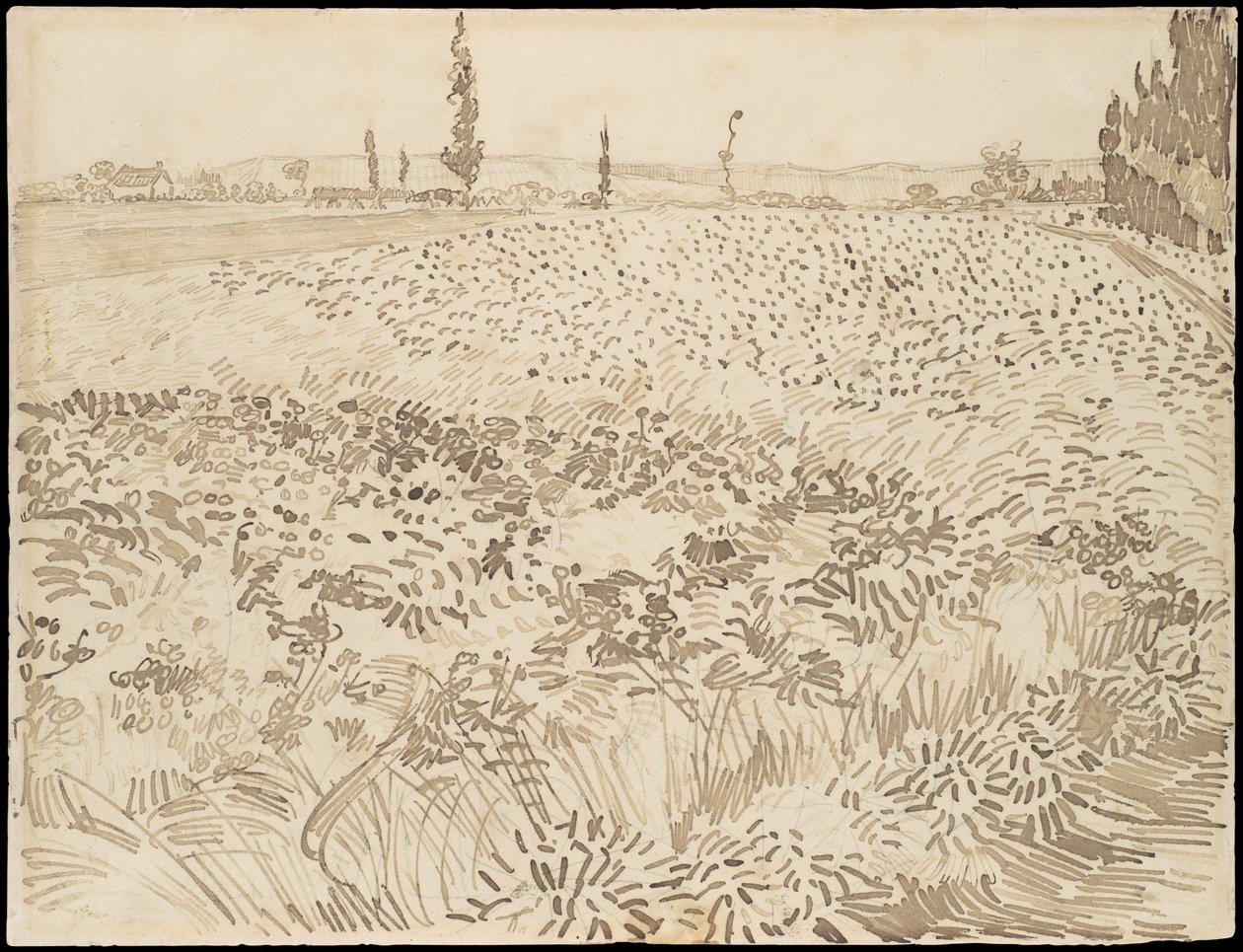 Tarweveld door Vincent van Gogh