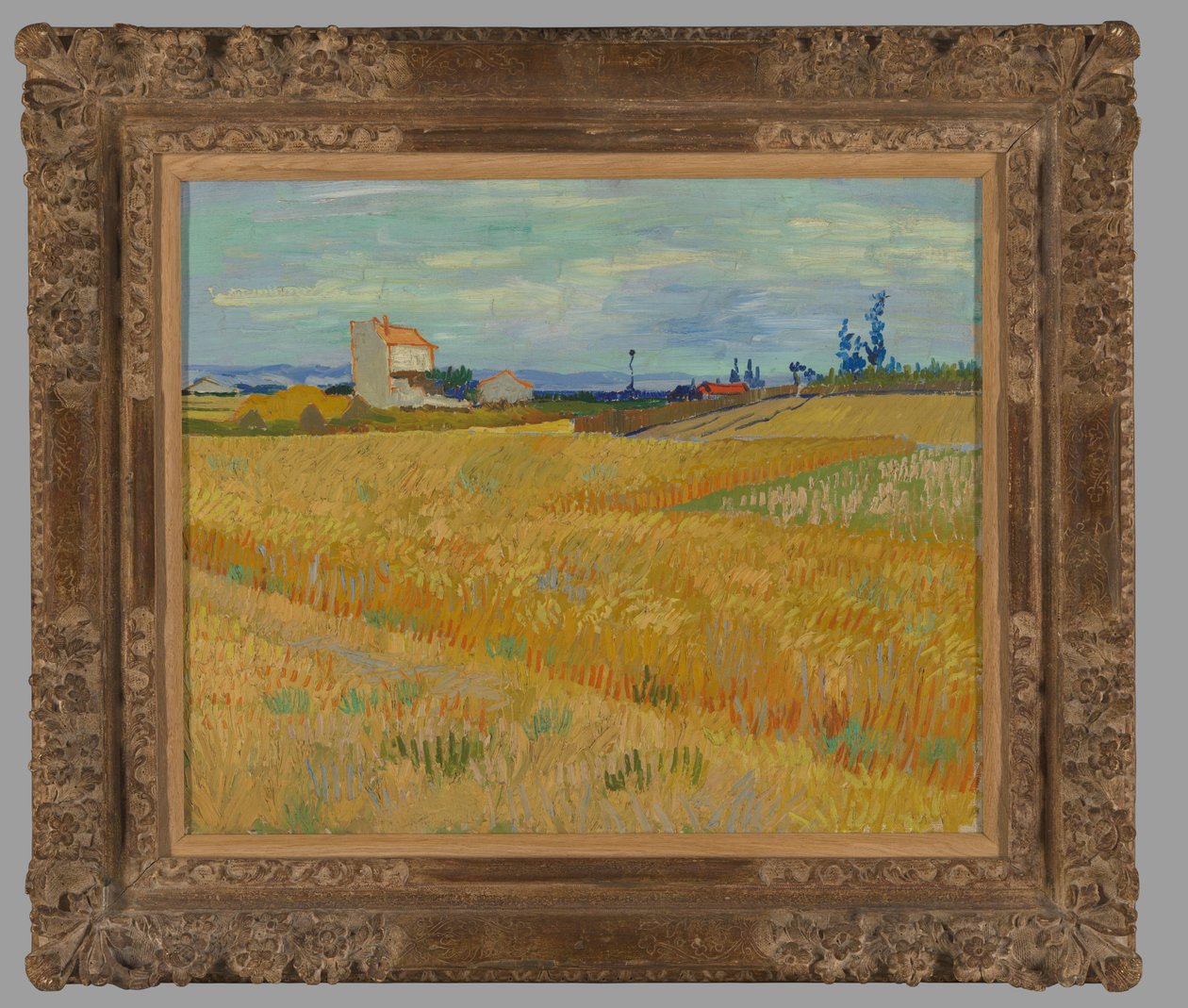 Tarweveld door Vincent van Gogh