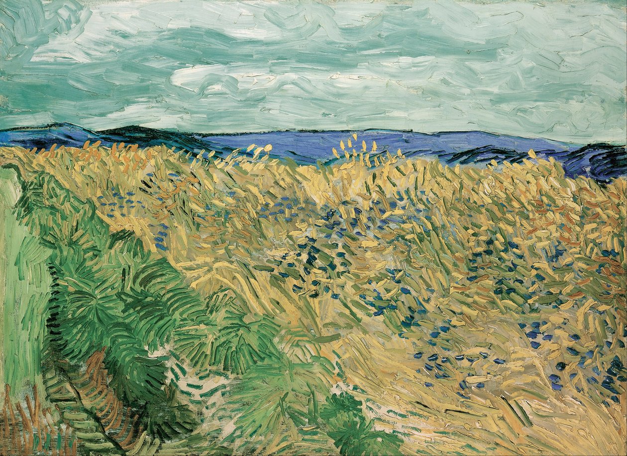 Korenveld met korenbloemen door Vincent van Gogh