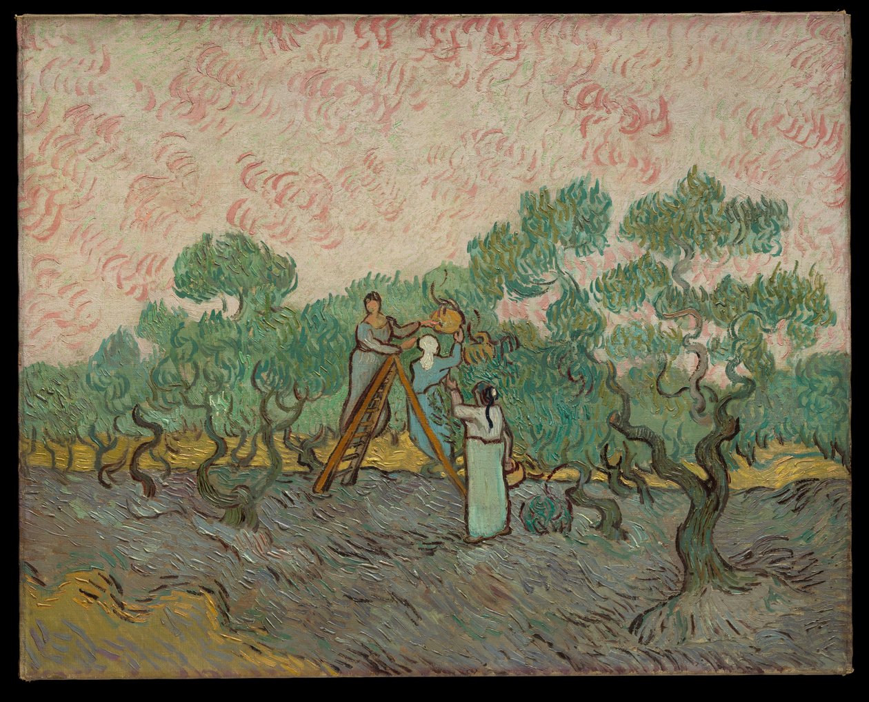 Vrouwen die olijven plukken door Vincent van Gogh
