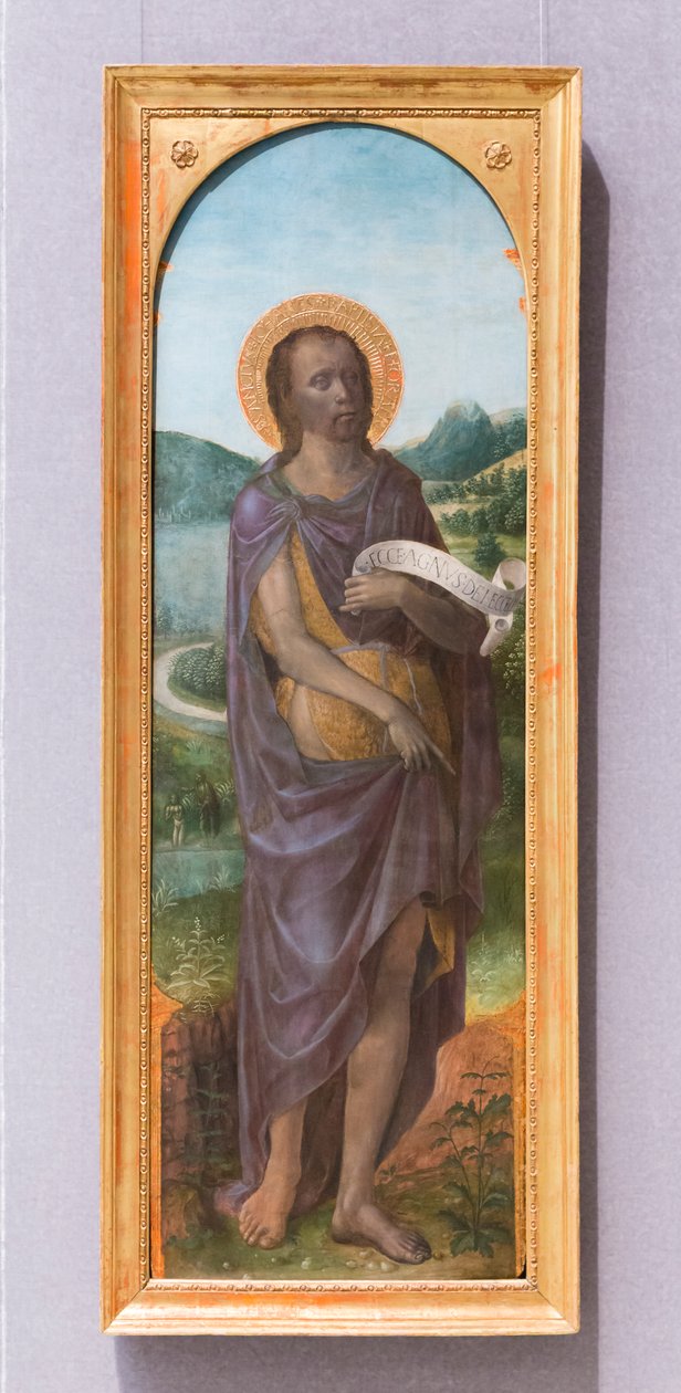 Sint Jan de Doper door Vincenzo Foppa