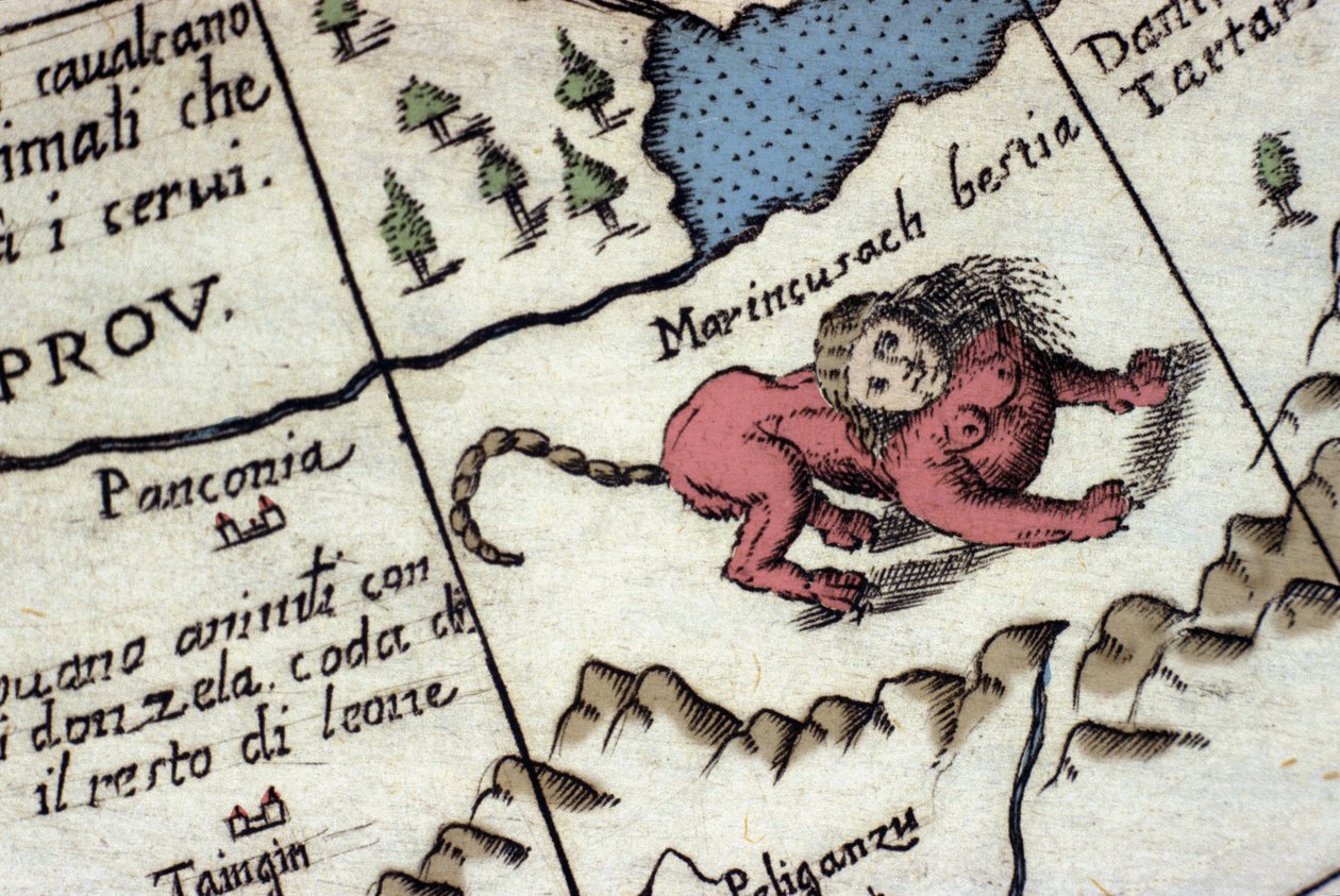 Voorstelling van een manticore, een fantastisch wezen met een menselijk hoofd (vaak met hoorns, blauwe ogen en drie rijen tanden), en een schorpioen- of drakenstaart en een leeuwenlichaam. Detail van een wereldkaart door Vincenzo coronelli (1650-1718). 17e door Vincenzo Maria Coronelli