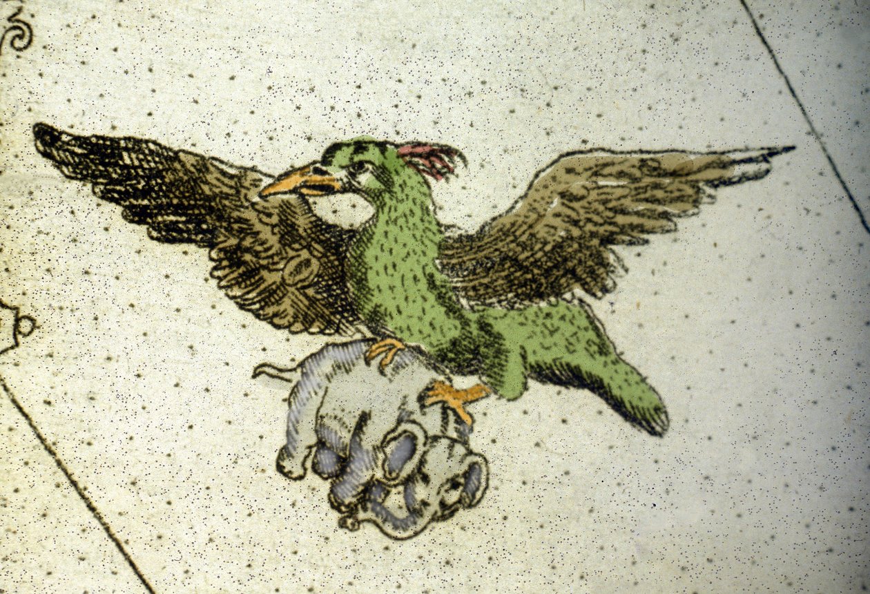 De reusachtige vogel Rok die een olifant draagt tussen zijn klauwen om aan zijn jongen te geven, detail van een wereldkaart door Vincenzo Coronelli (1650-1718). 17e eeuw door Vincenzo Maria Coronelli