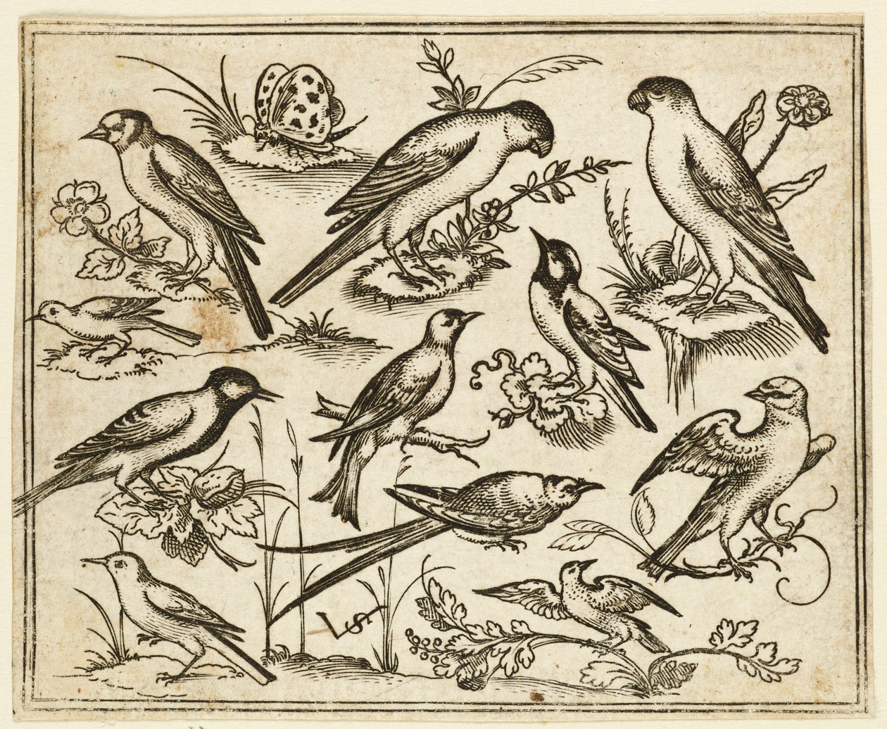 Elf vogels zittend op bloeiende takken en kleine takjes, 1557 door Virgil Solis